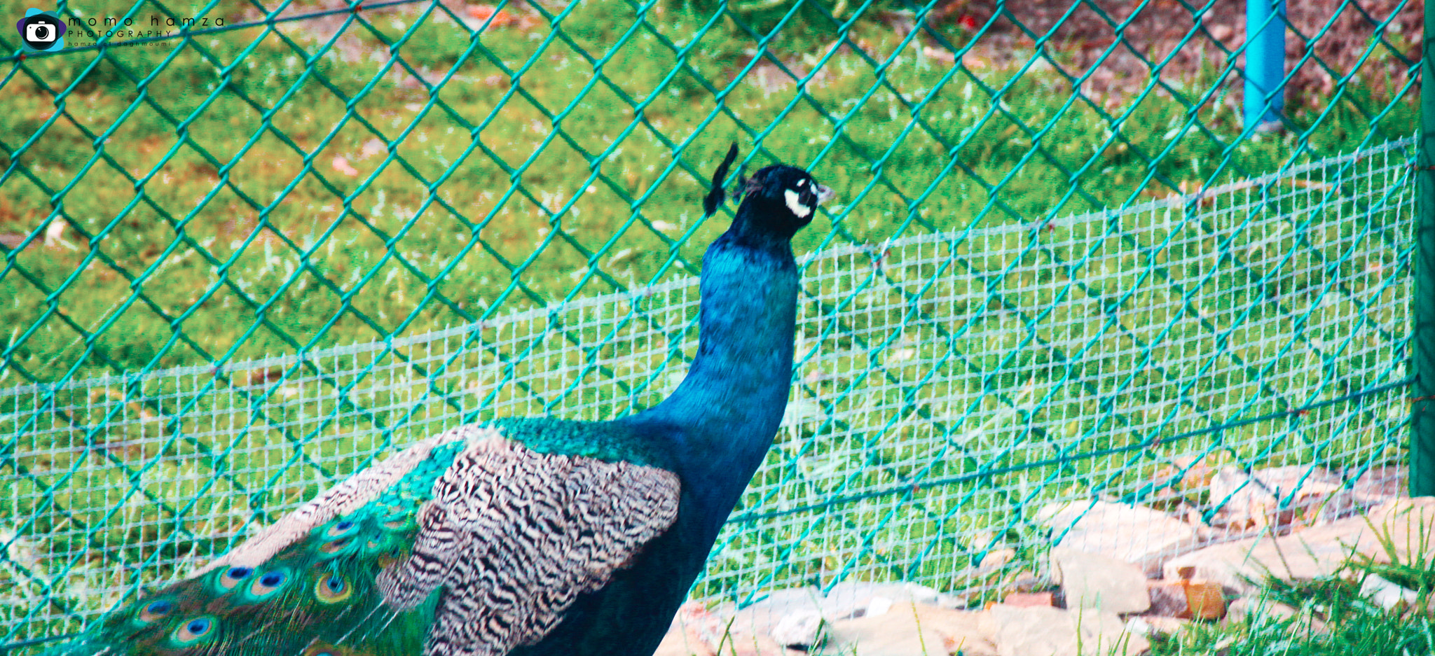 Canon EF 100-300mm f/5.6 sample photo