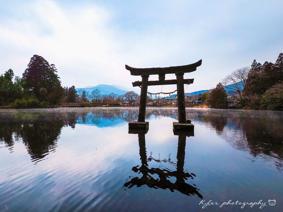 Olympus Zuiko Digital ED 9-18mm F4.0-5.6 sample photo. 金鱗湖 photography