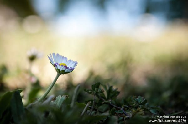 Nikon D90 + Sigma 17-70mm F2.8-4 DC Macro OS HSM | C sample photos