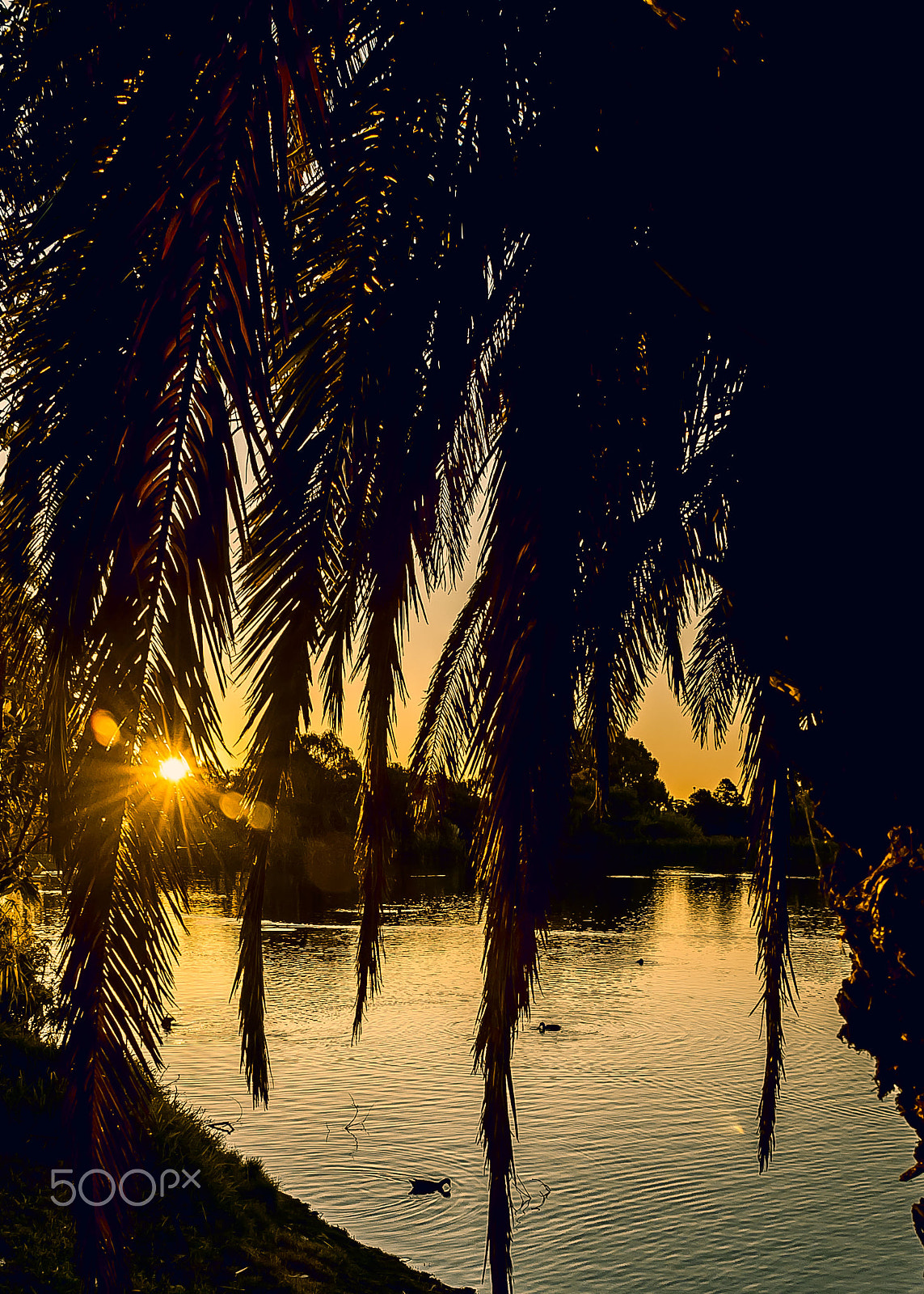 Nikon D300S sample photo. Lake photography
