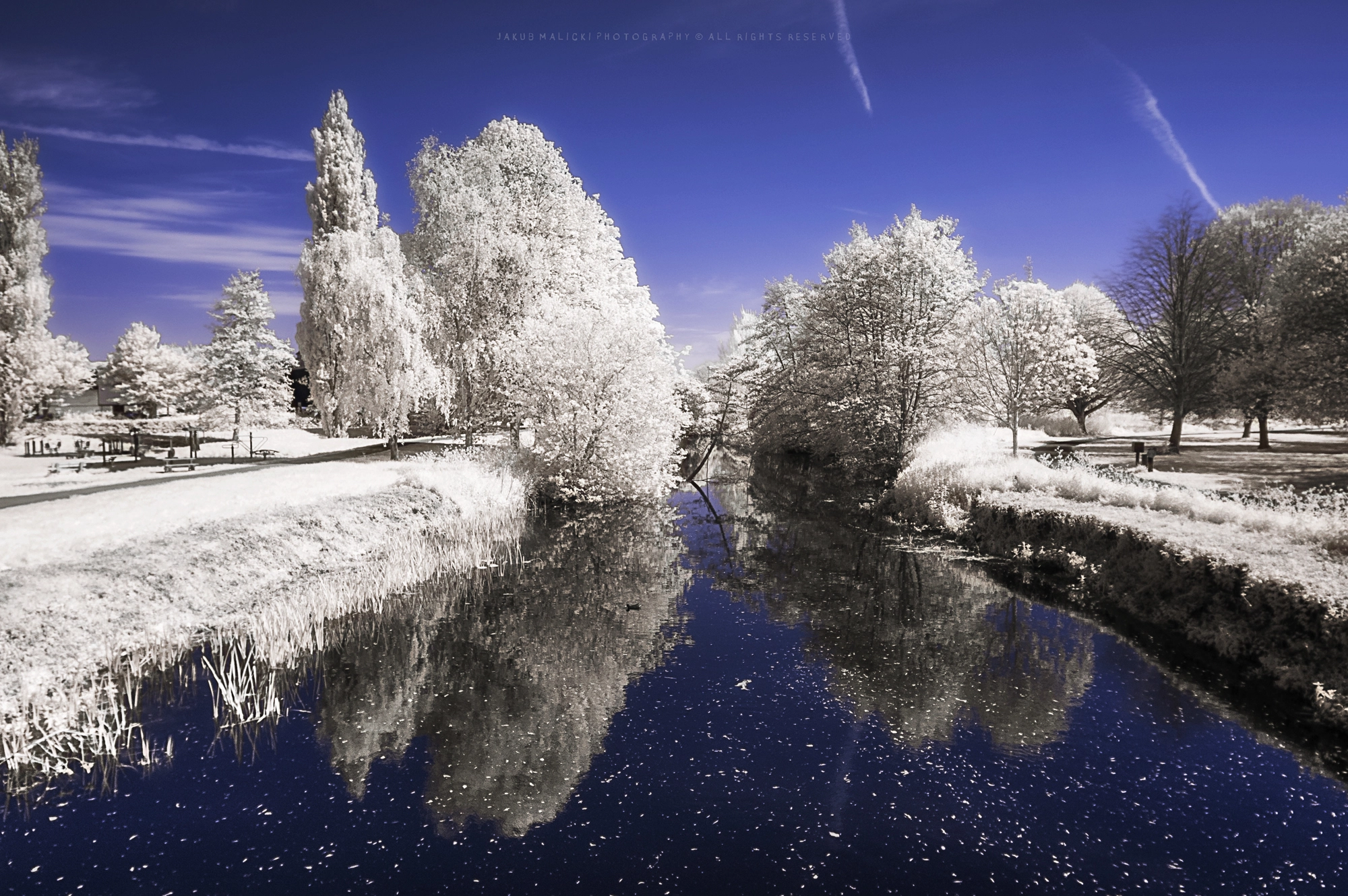 Nikon D70 sample photo. Ir in park photography