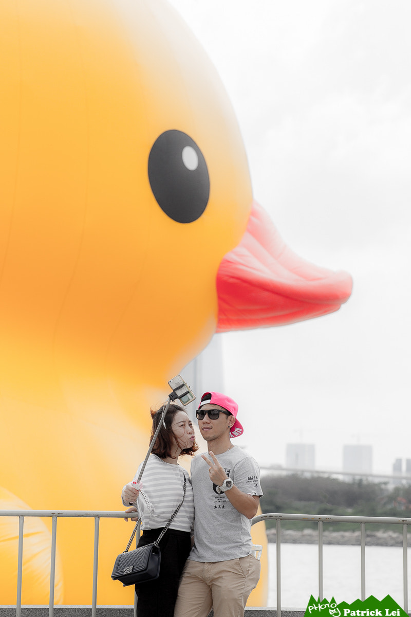 Canon EOS-1D Mark IV + Canon EF 70-200mm F4L USM sample photo. Rubber duck photography