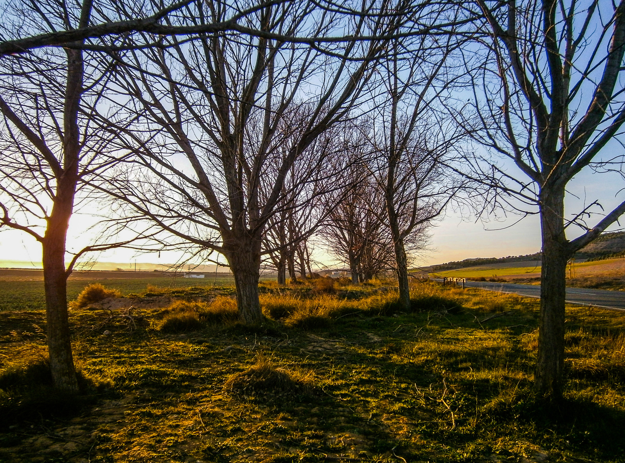 Olympus VG130,D710 sample photo. Atardecer photography