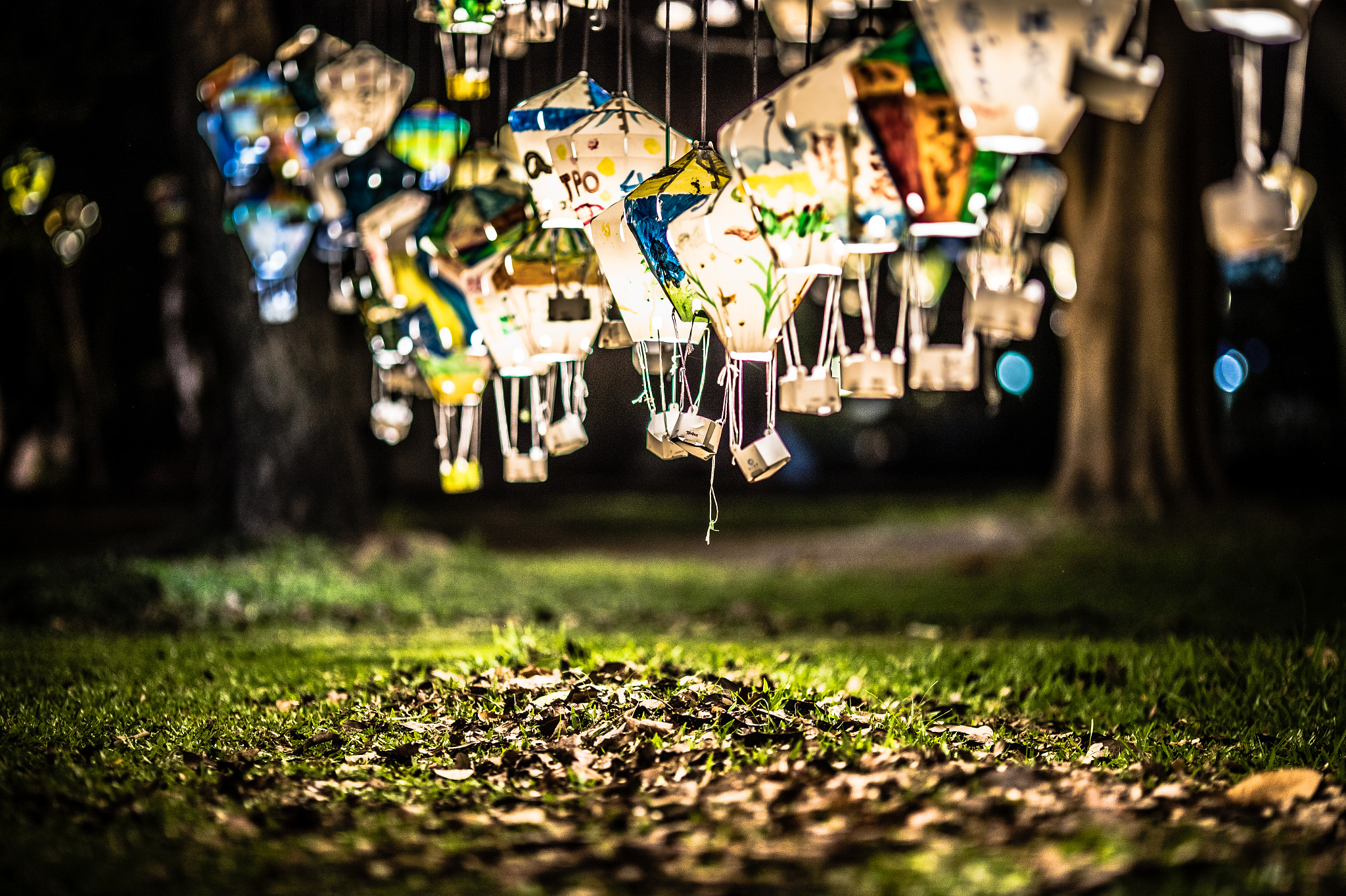Canon EF 135mm F2L USM sample photo. 台東 鐵花村。 photography