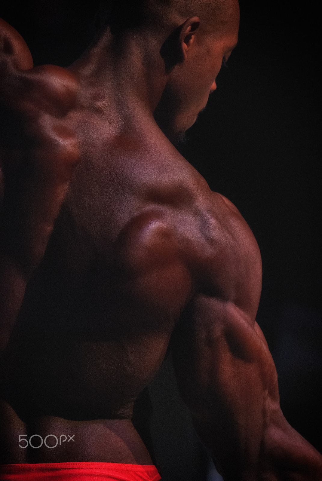 Nikon D80 sample photo. Apollon moderne photography