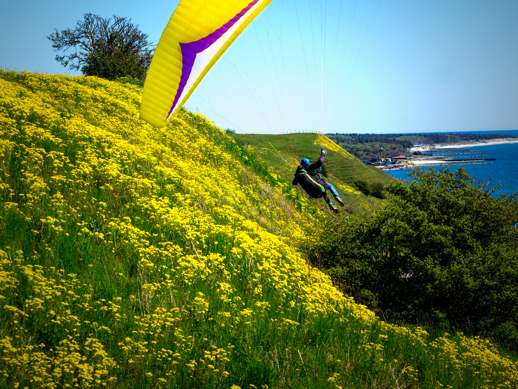 Olympus OM-D E-M5 + Olympus M.Zuiko Digital ED 75mm F1.8 sample photo. Coastal soaring photography