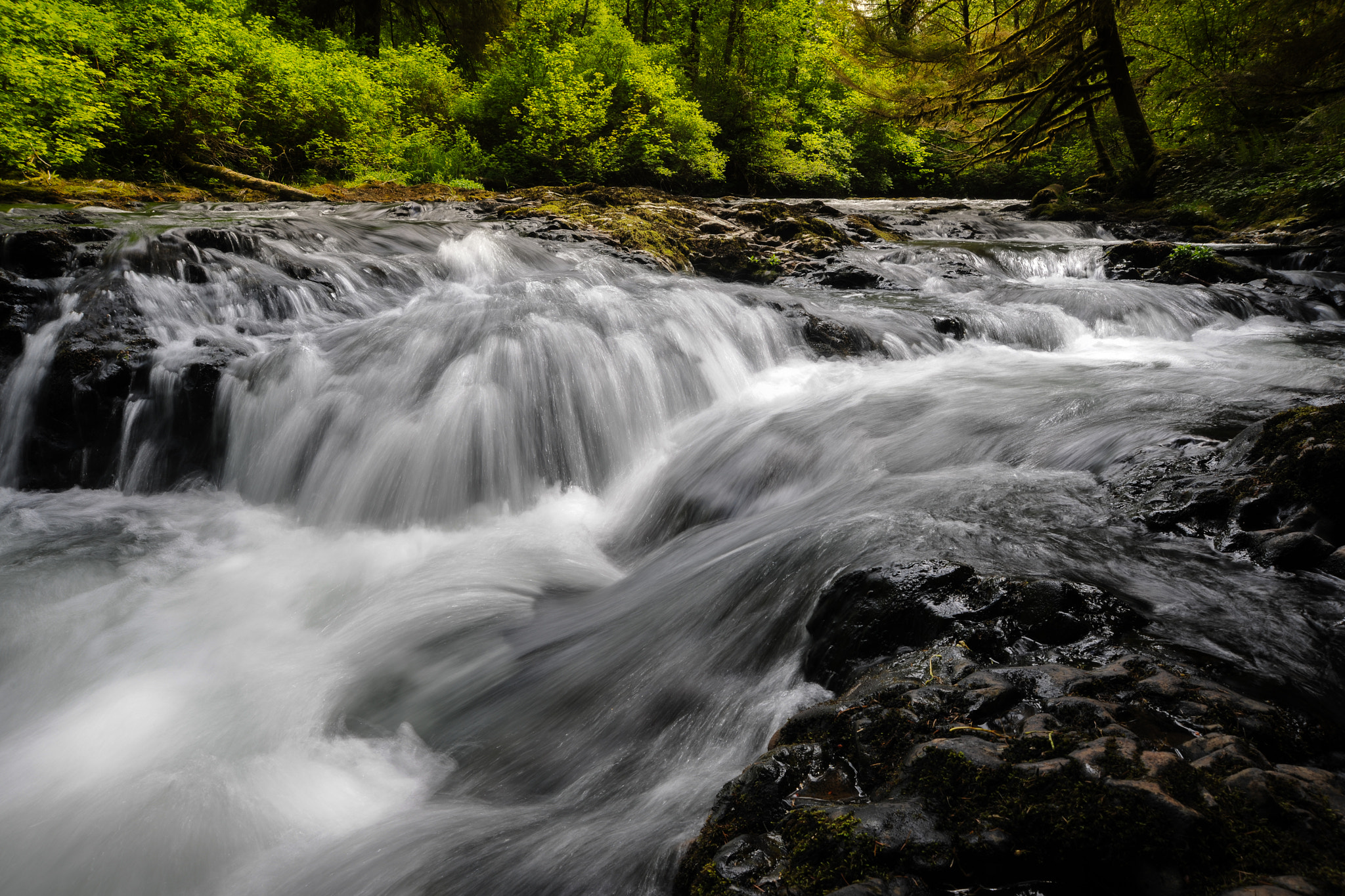 AF Zoom-Nikkor 24-120mm f/3.5-5.6D IF sample photo. Silver rush photography