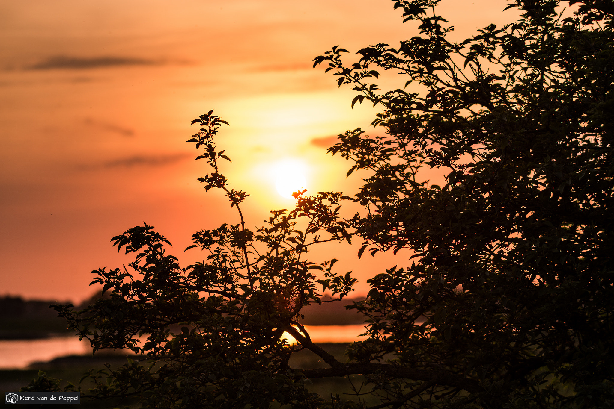 Samsung NX1 + Samsung NX 85mm F1.4 ED SSA sample photo. Sunset trees photography