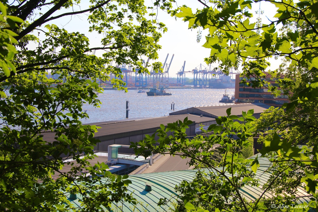 Sigma 18-125mm F3.8-5.6 DC OS HSM sample photo. Hamburg harbor photography