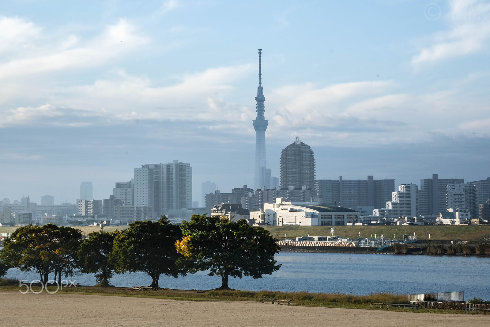 Fujifilm X-M1 + Fujifilm XF 60mm F2.4 R Macro sample photo. Tokyo skytree photography