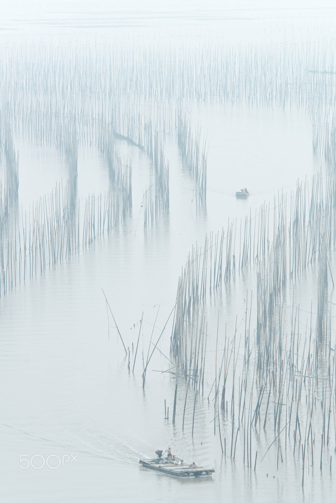 Nikon D800E sample photo. The "s" photography