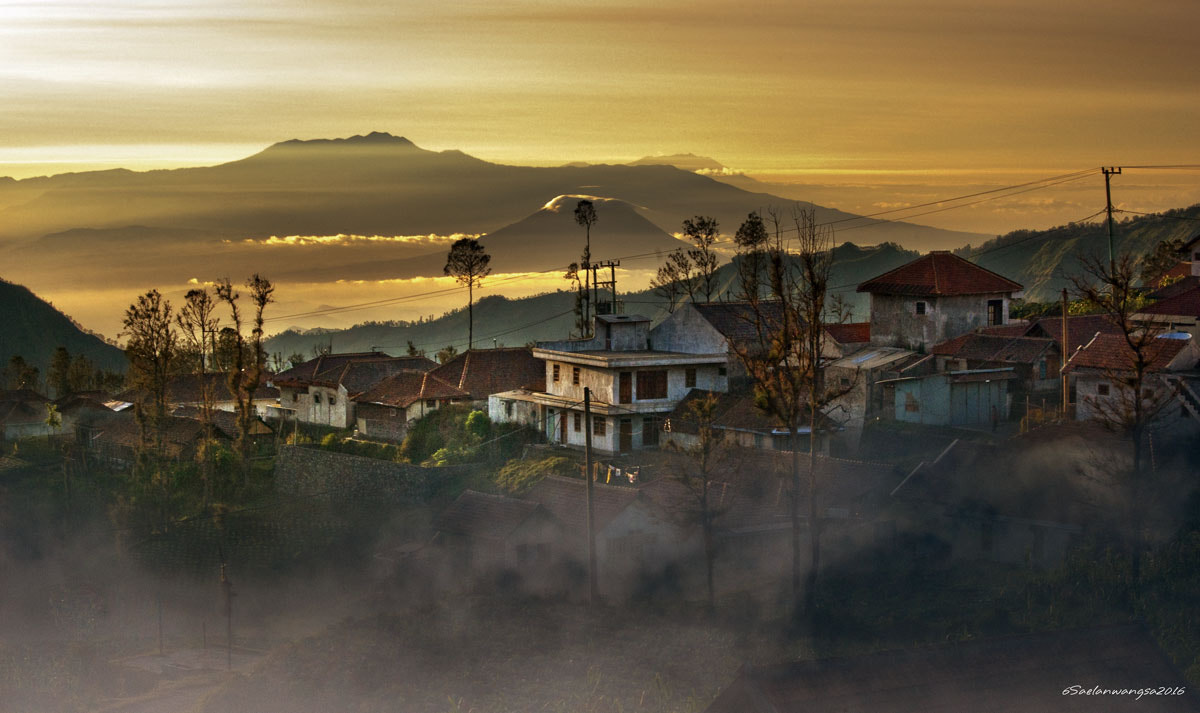 Pentax smc DA 50-200mm F4-5.6 ED sample photo. Bromo mount photography