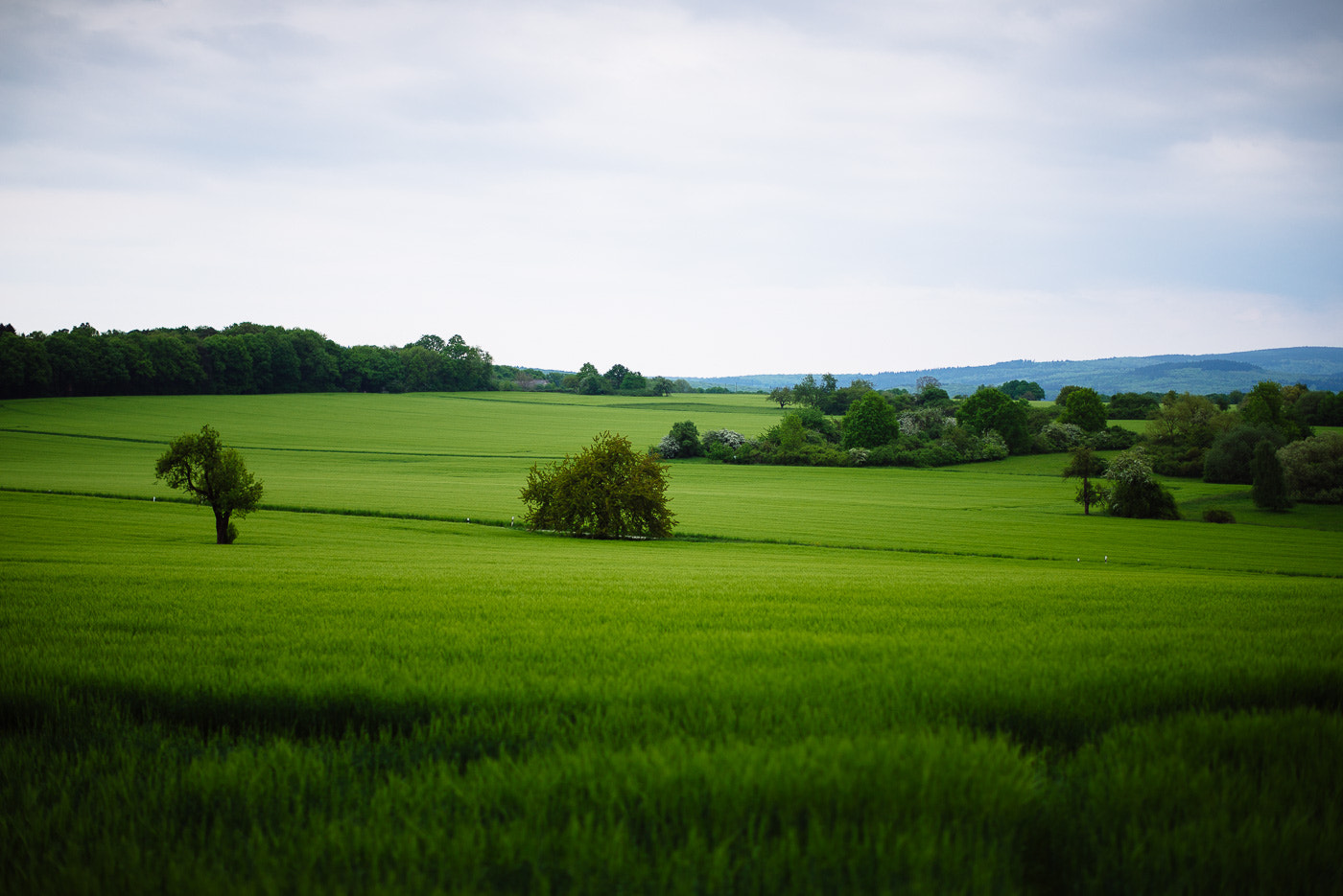 Nikon D600 + Nikon AF-S Nikkor 58mm F1.4G sample photo. Ebental photography