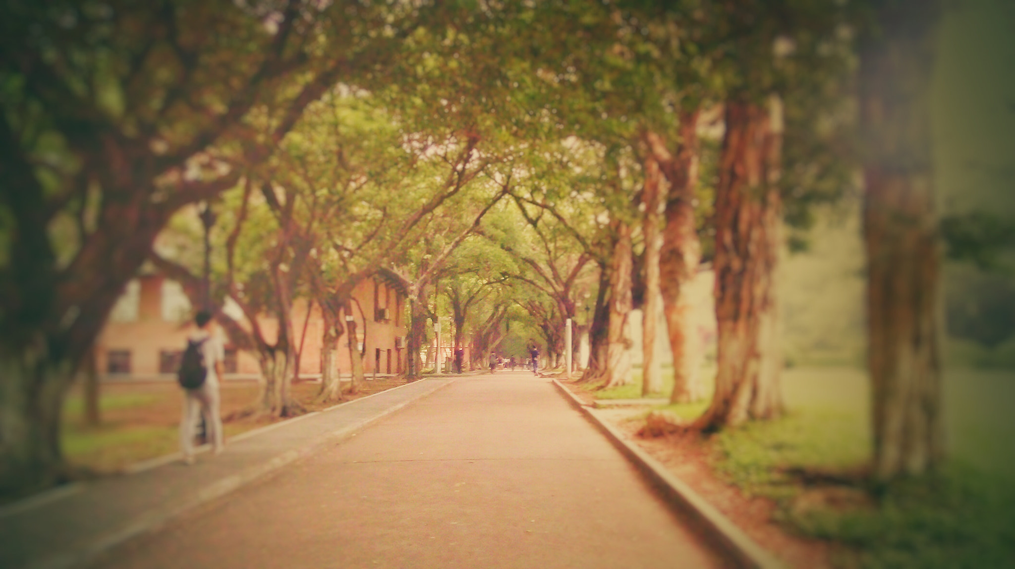 HTC D820U sample photo. 校园一角 photography