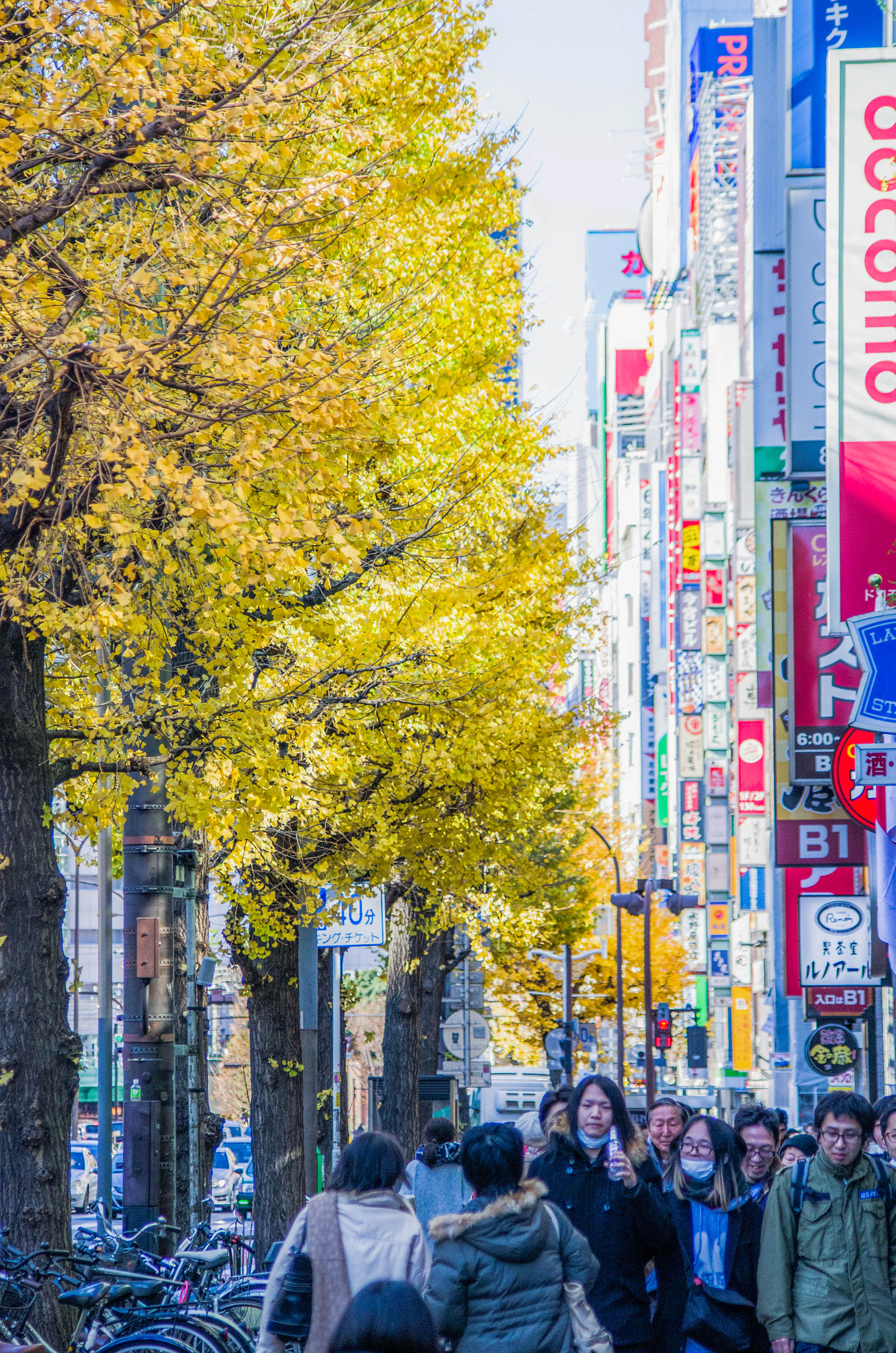 smc PENTAX-DA L 55-300mm F4-5.8 ED sample photo. Shinjuku yellow street photography