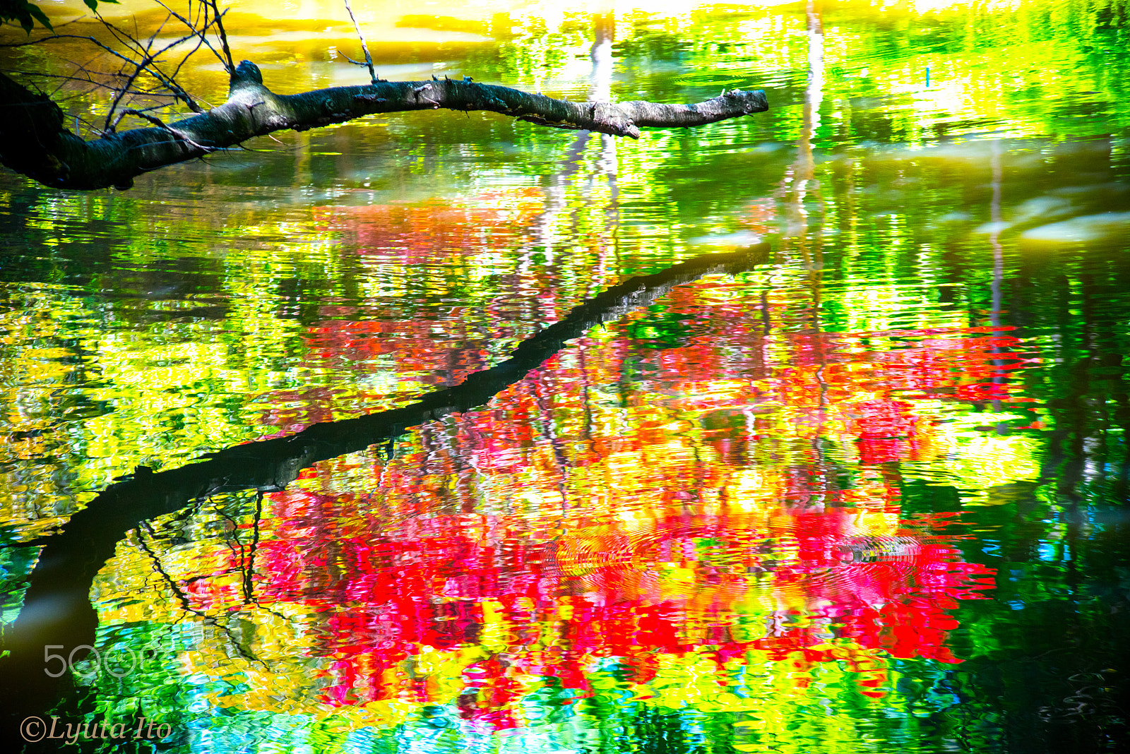 smc PENTAX-DA L 55-300mm F4-5.8 ED sample photo. Colours on water photography