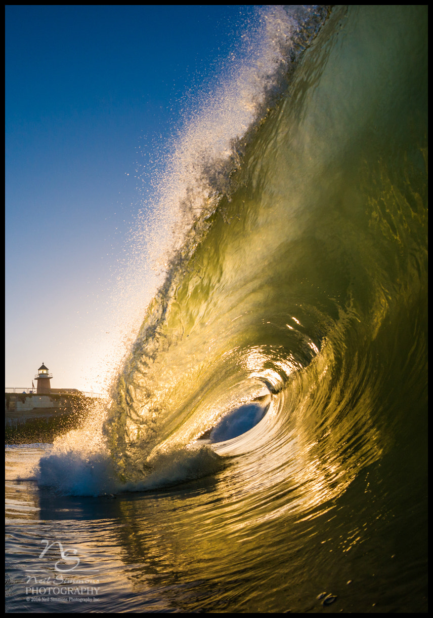 Nikon D800E + Nikon AF Fisheye-Nikkor 16mm F2.8D sample photo. Green barrel at sunrise photography