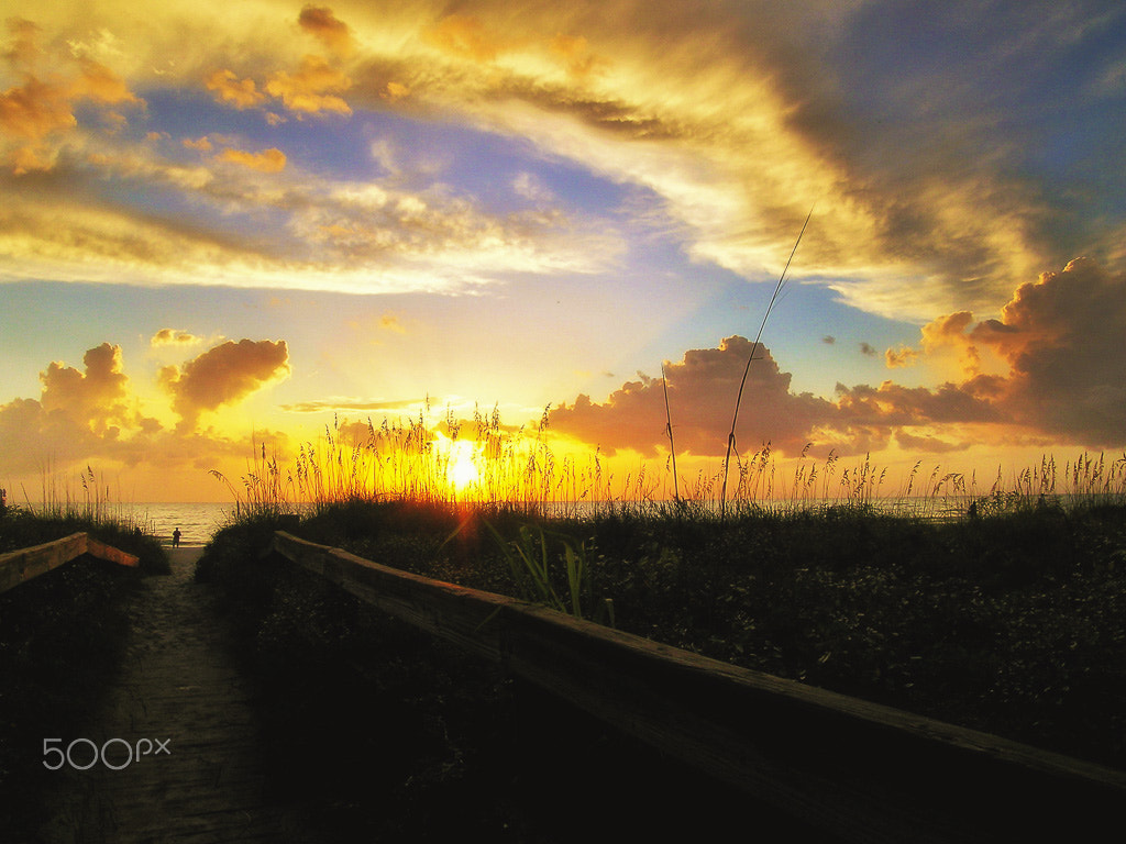 Nikon E5400 sample photo. Flordia sunset photography