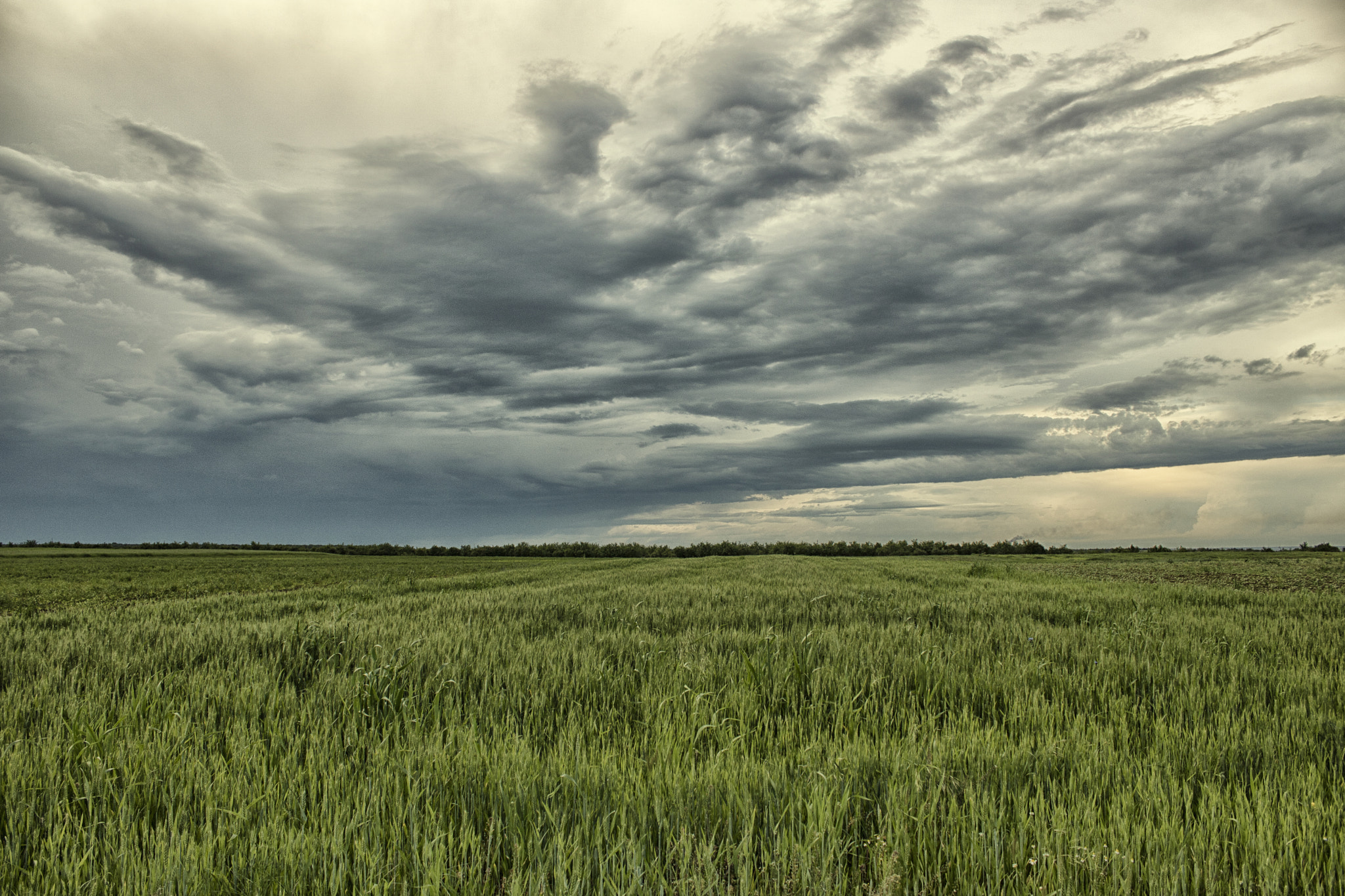 Canon EOS 750D (EOS Rebel T6i / EOS Kiss X8i) sample photo. Stormy weather photography
