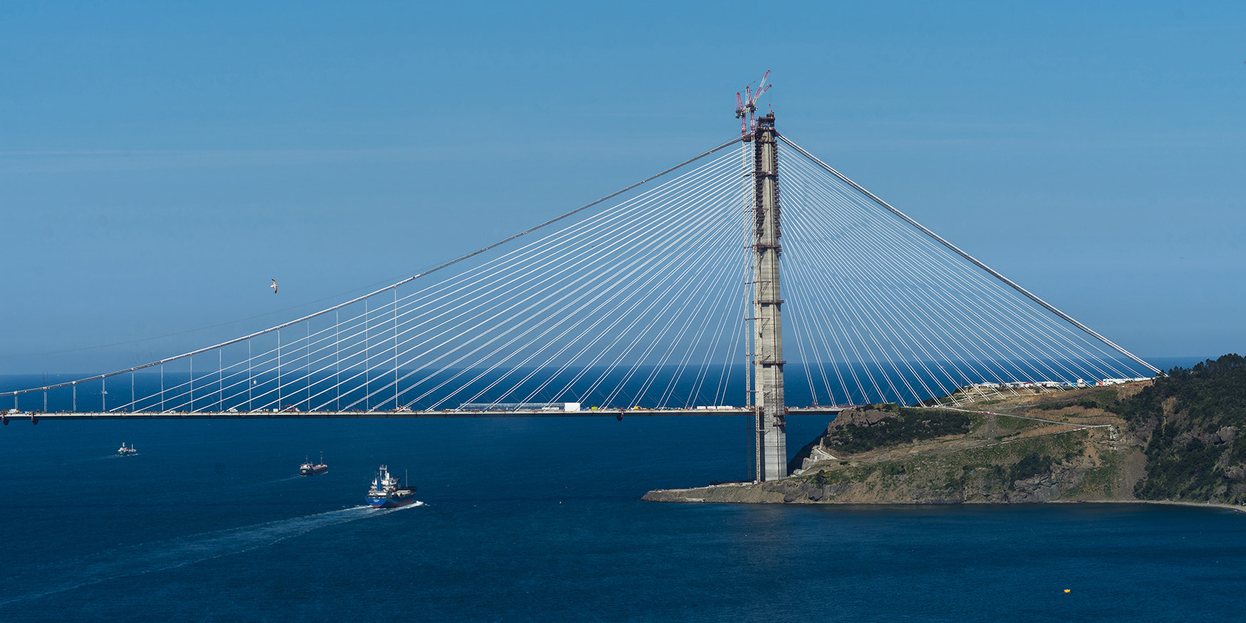 Minolta AF 70-210mm F4 Macro sample photo. Bridge photography