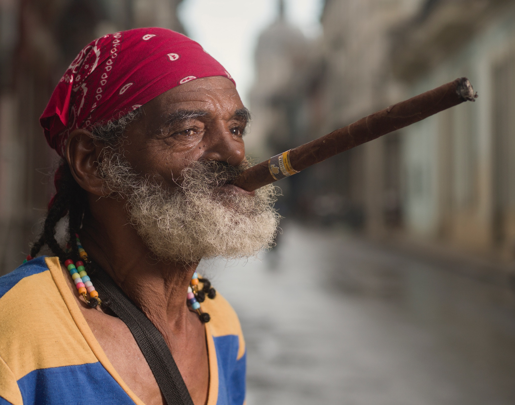 Hasselblad H5D + HC 80 sample photo. The cuban brand is filled with tobacco that comes  ... photography