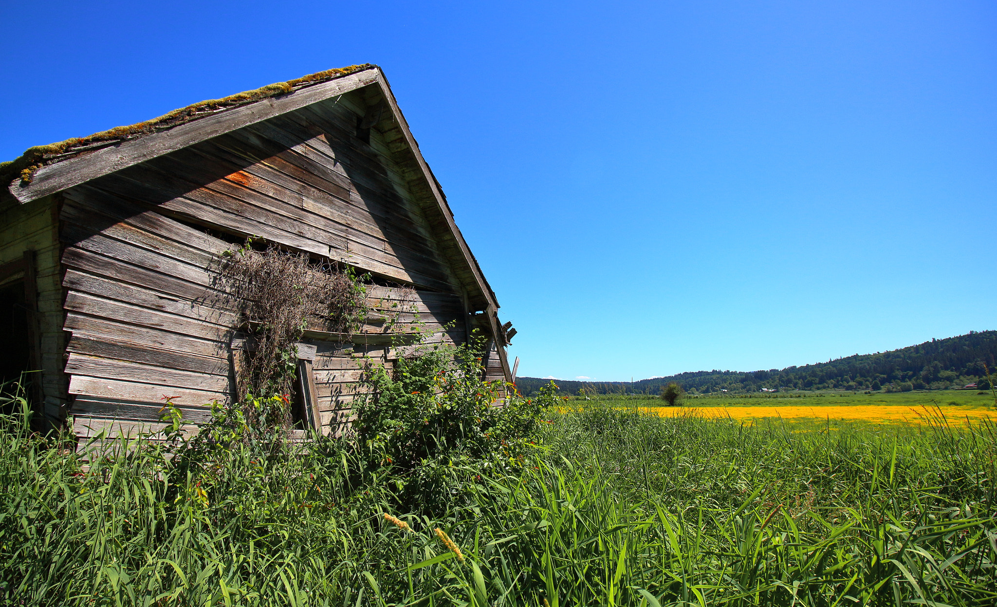 Canon EF-S 10-18mm F4.5–5.6 IS STM sample photo. The old farm 3 photography