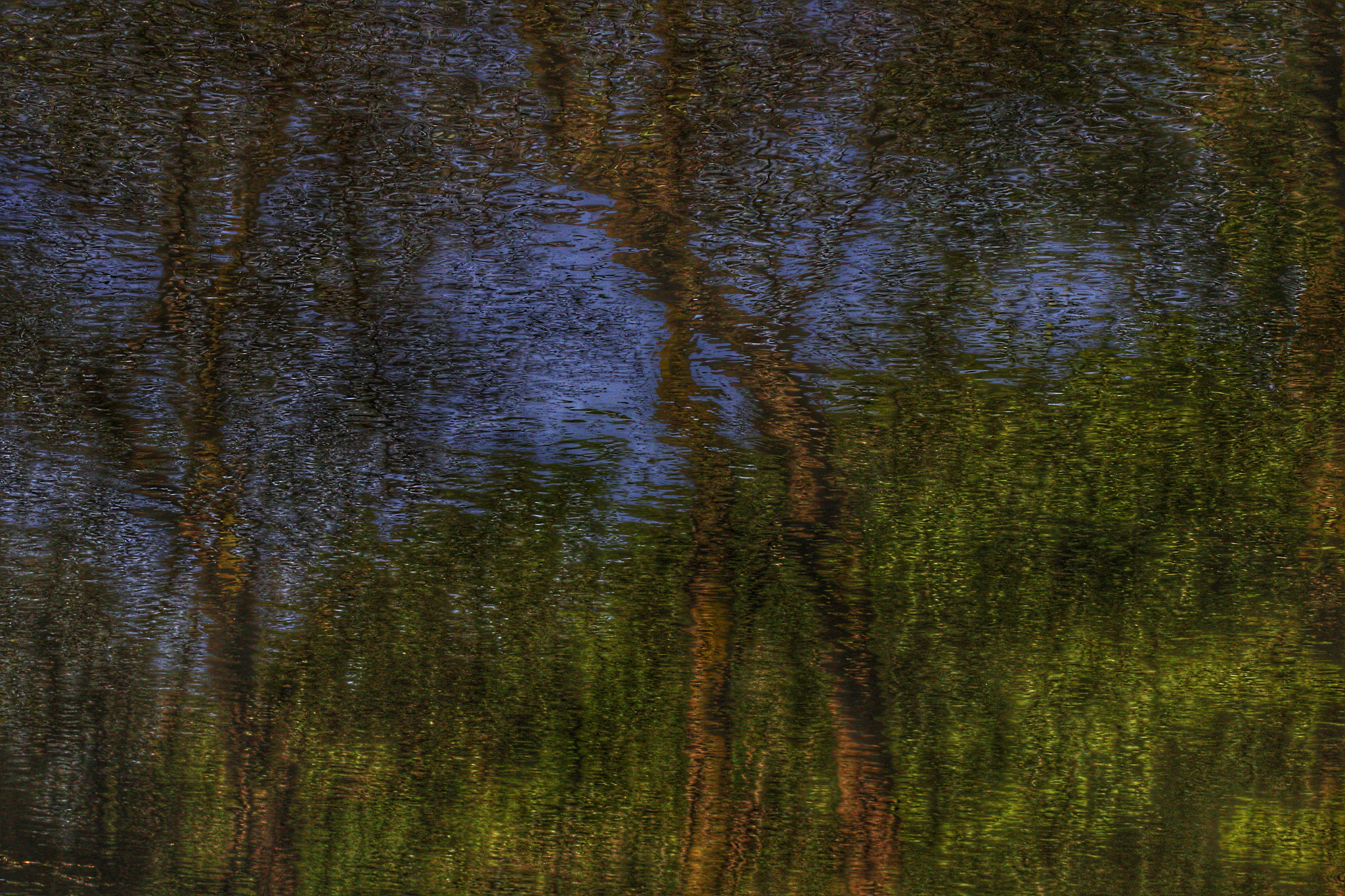 Canon EOS 600D (Rebel EOS T3i / EOS Kiss X5) + Canon 70-300mm sample photo. Reflected trees in a pond photography