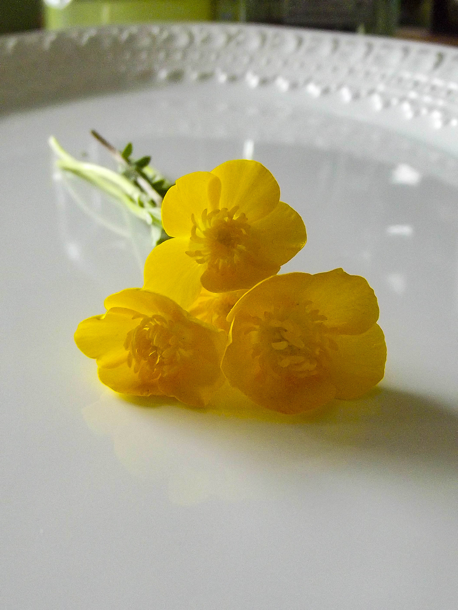 Fujifilm FinePix S2970 sample photo. Buttercups photography