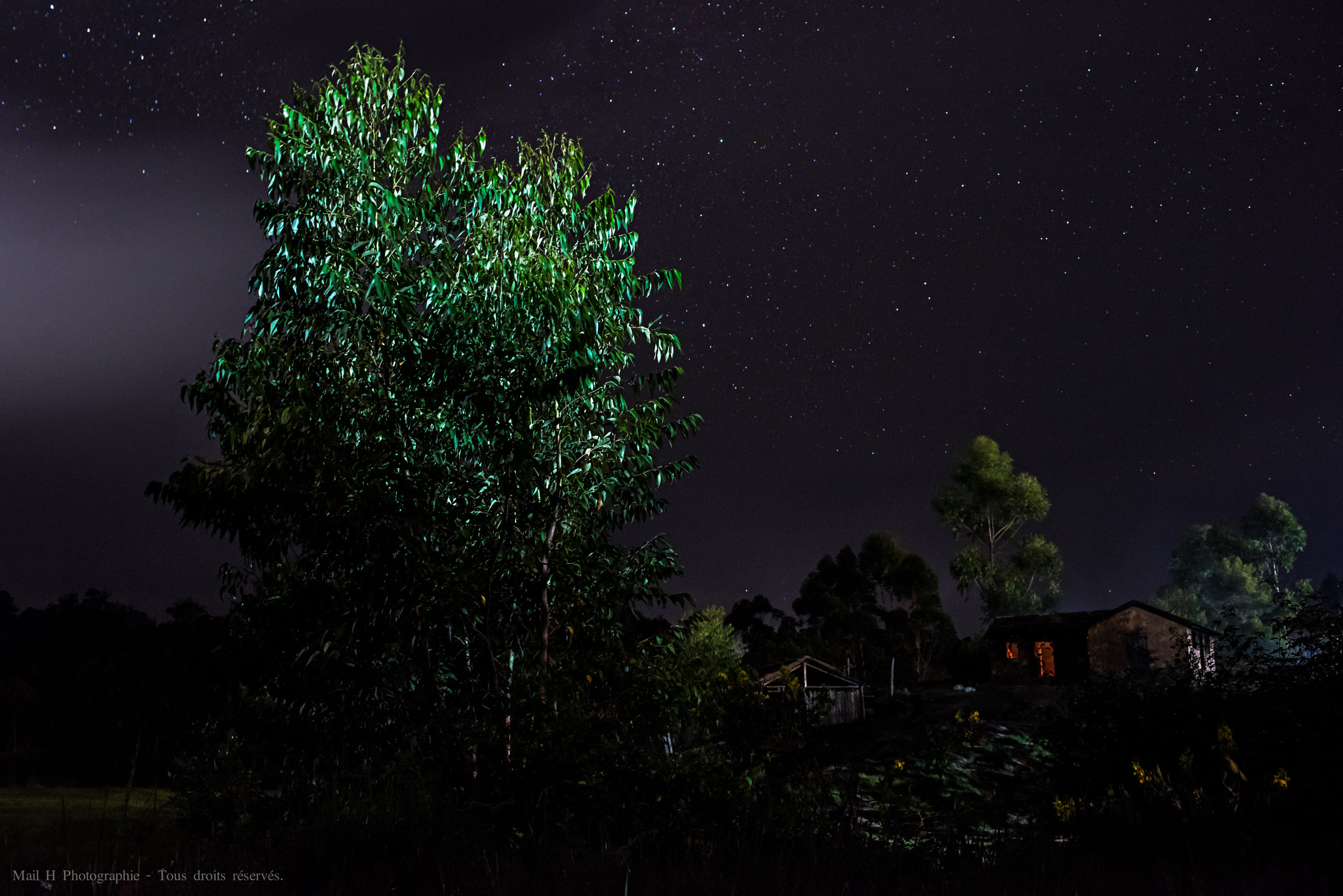 Nikon D810 sample photo. The farm under stars photography