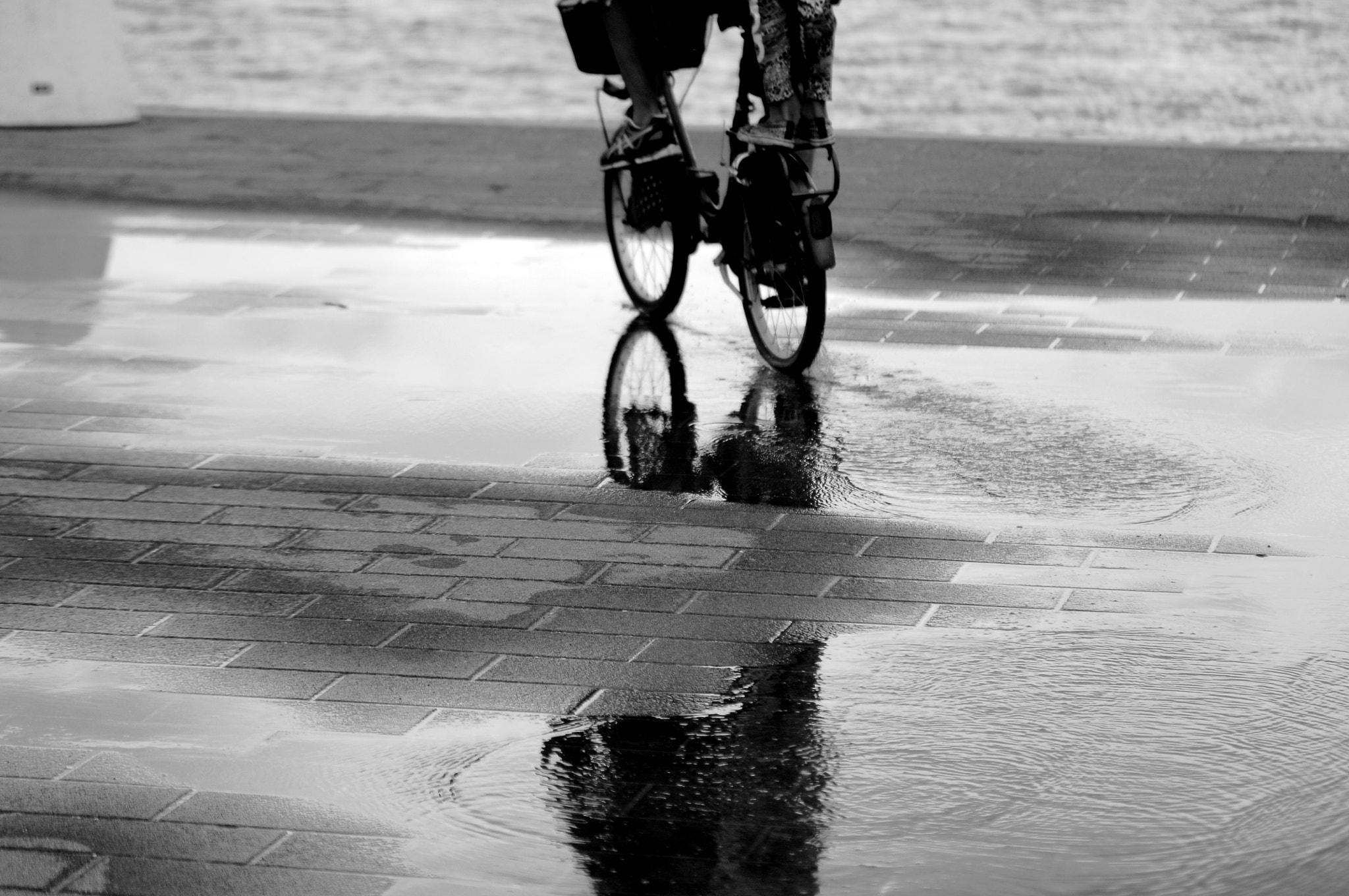AF Zoom-Nikkor 80-200mm f/2.8 ED sample photo. No rain photography