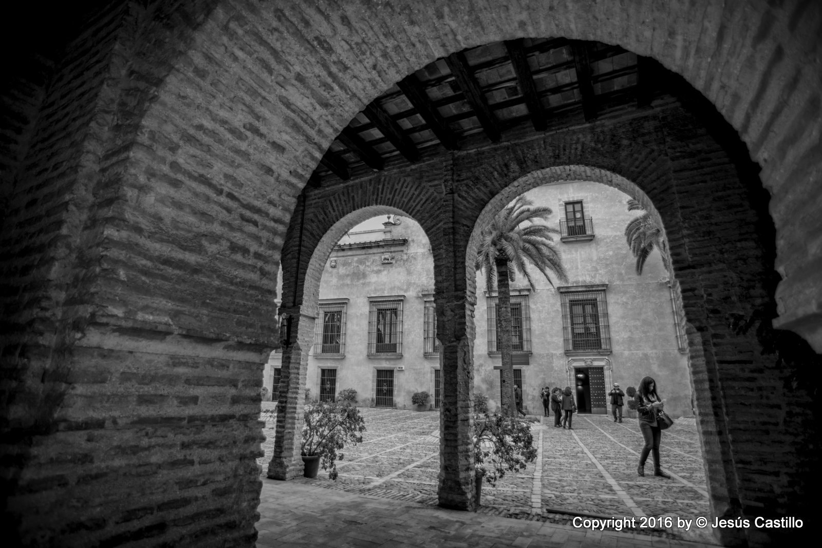 Nikon D600 sample photo. Editar photography