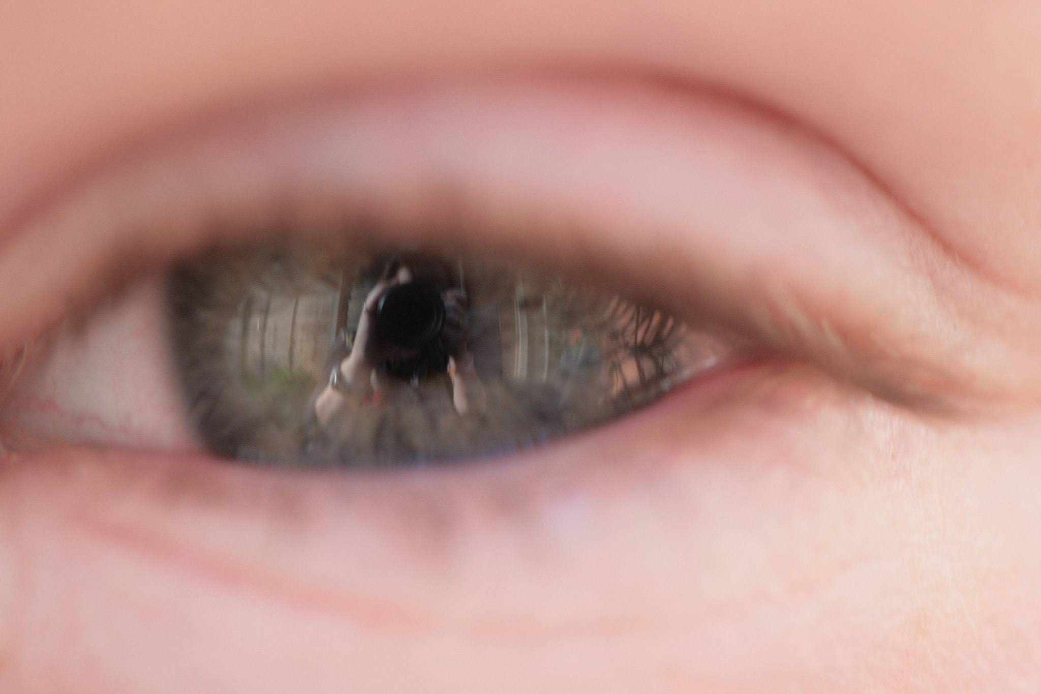 Canon EF 100mm F2.8 Macro USM sample photo. I can see you! photography