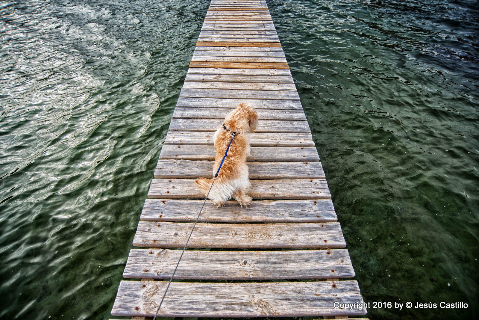 Nikon D600 sample photo. Editar photography