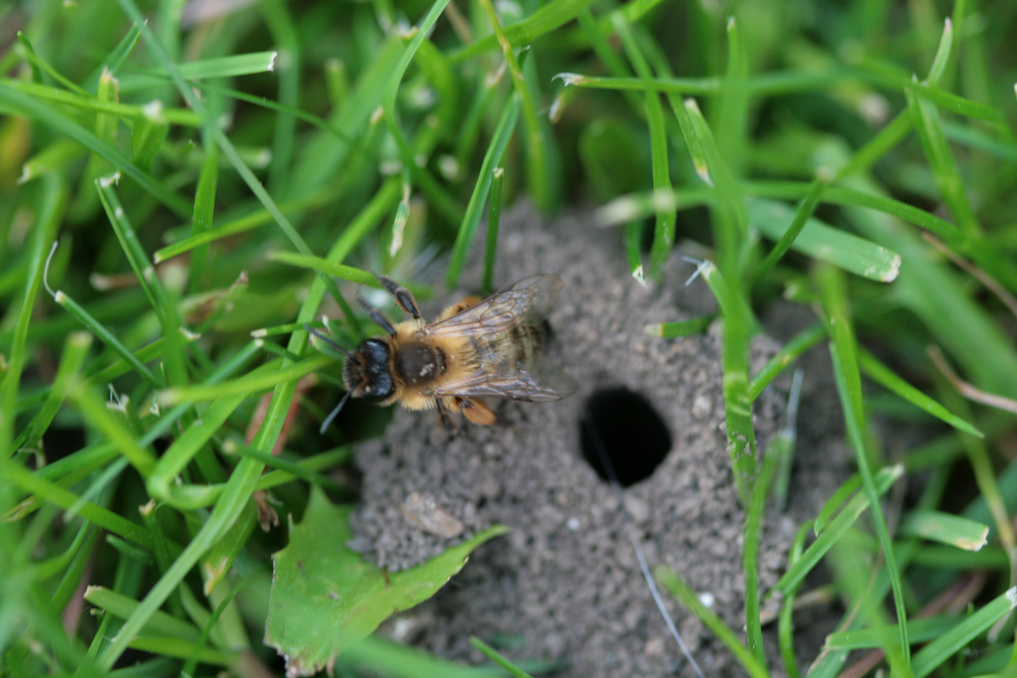 Canon EF 100mm F2.8 Macro USM sample photo