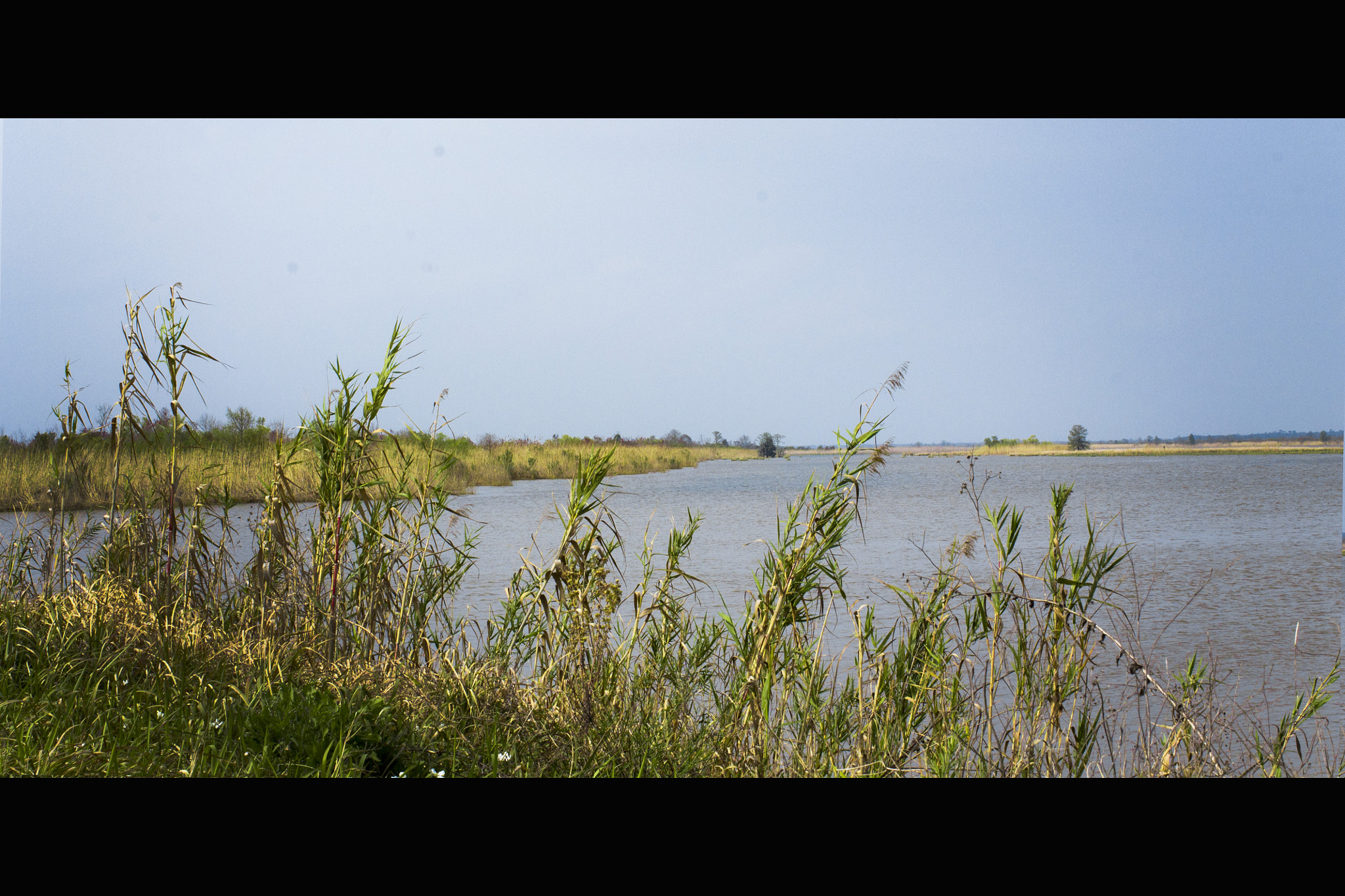 Canon EF 40mm F2.8 STM sample photo. As smart object photography