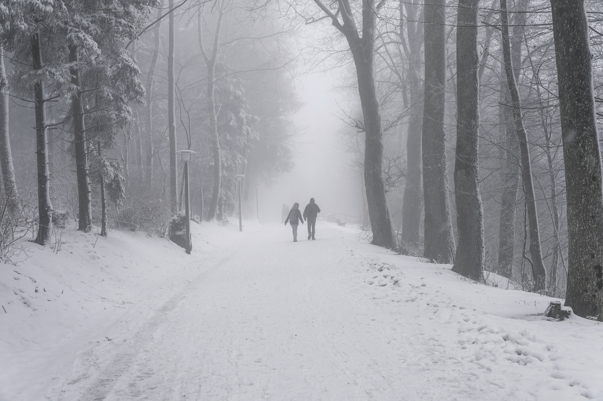 Nikon Df sample photo. Snow at uetliberg photography
