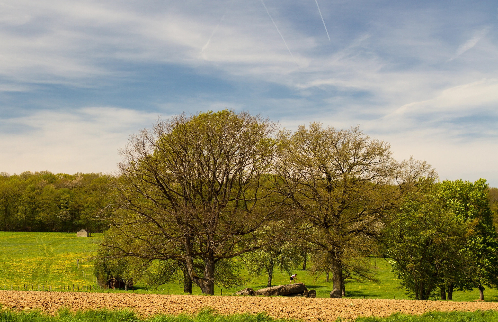 Canon TS-E 45mm F2.8 Tilt-Shift sample photo. Timeless photography