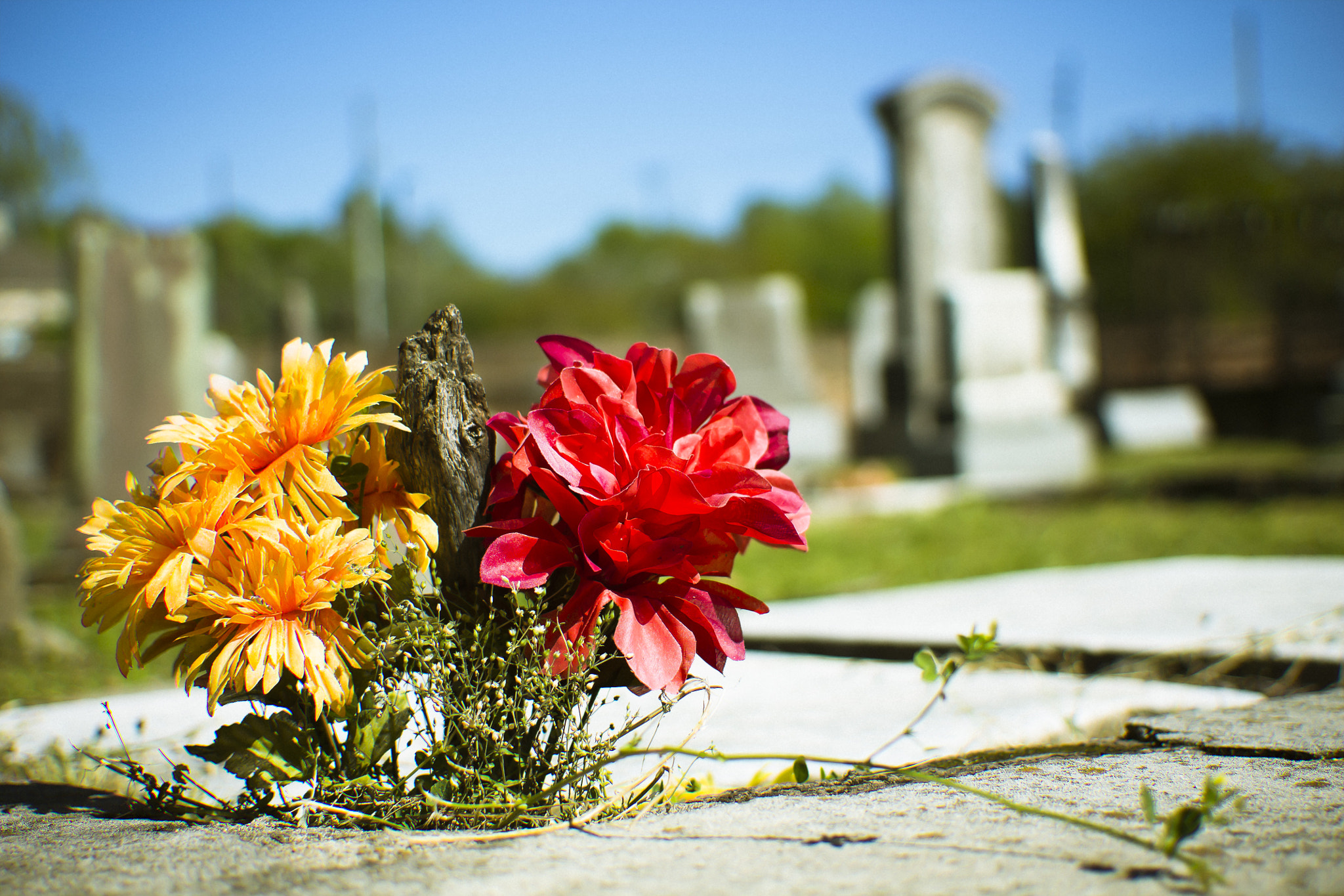 Canon EF 40mm F2.8 STM sample photo. As smart object photography
