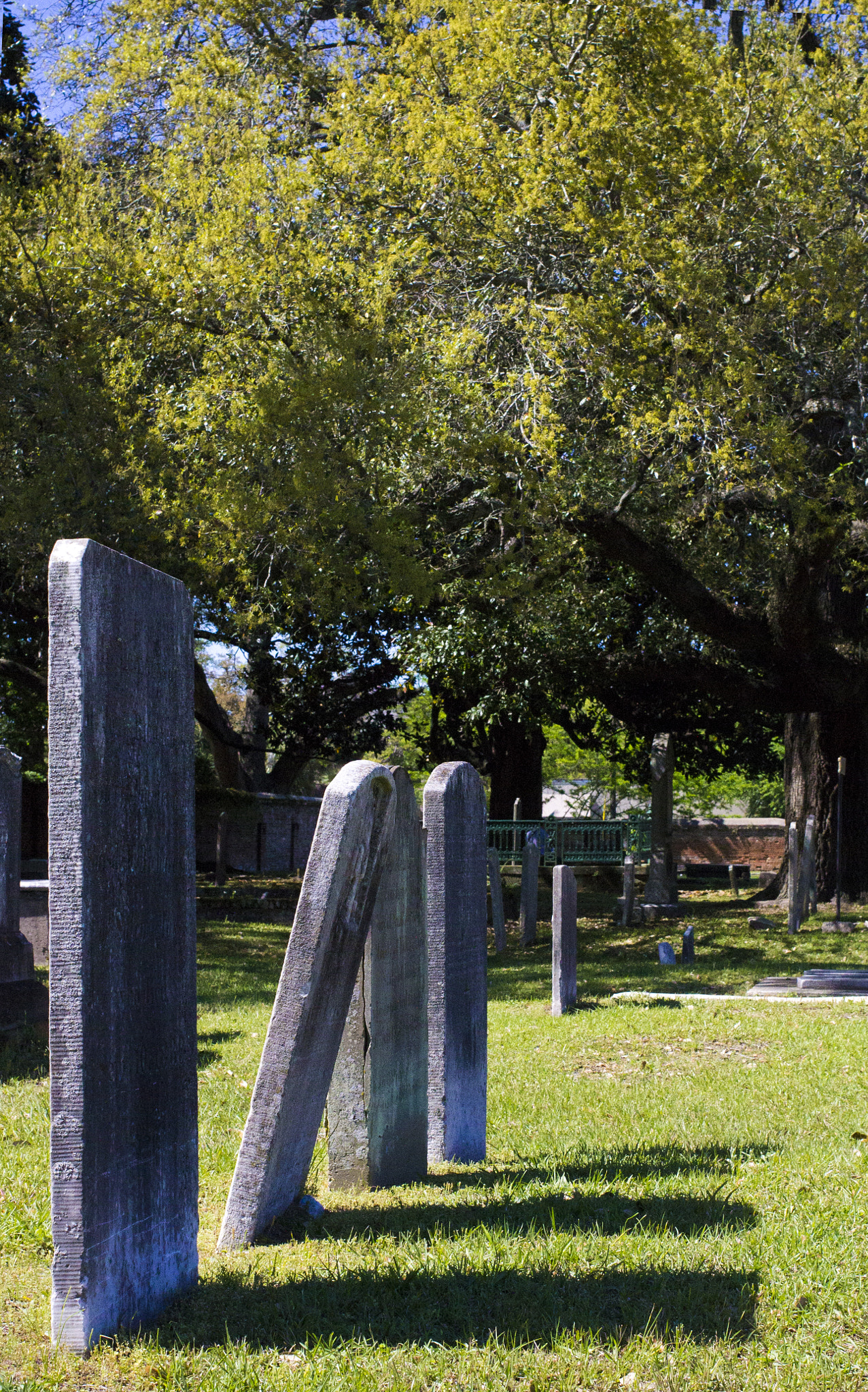 Canon EF 40mm F2.8 STM sample photo. As smart object photography