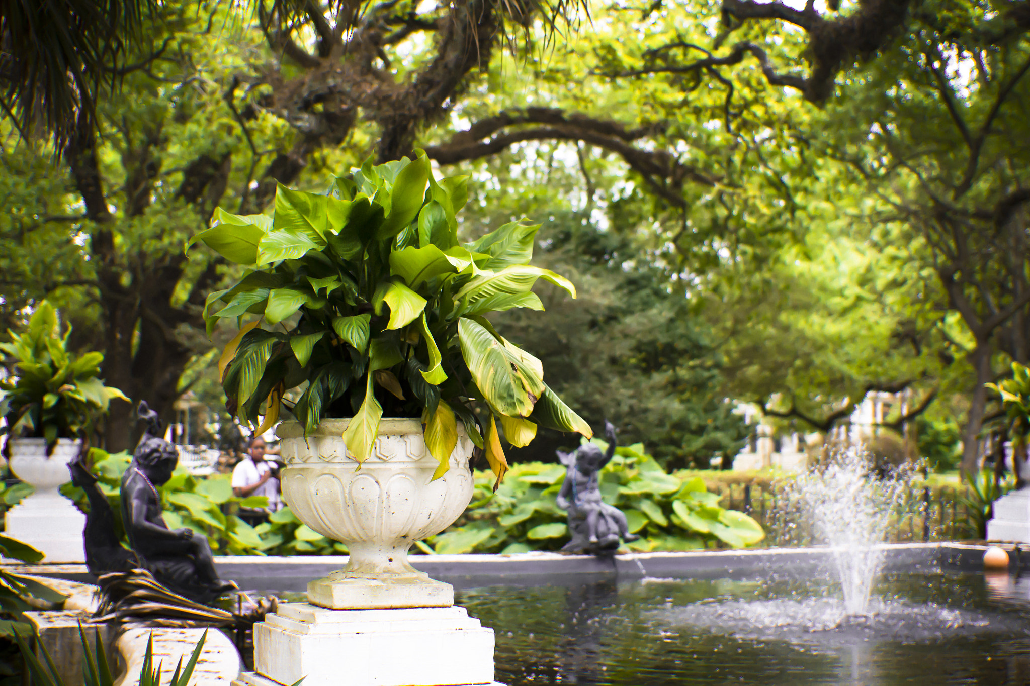 Canon EF 40mm F2.8 STM sample photo. As smart object photography