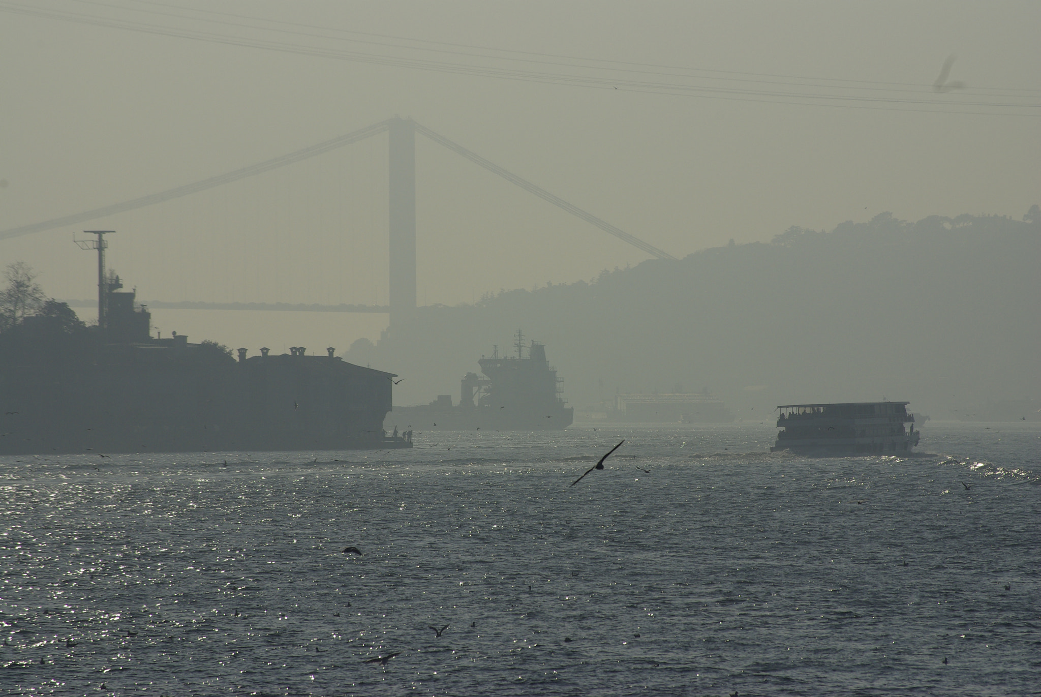 Pentax smc DA 50-200mm F4-5.6 ED sample photo. _igp8962.jpg photography
