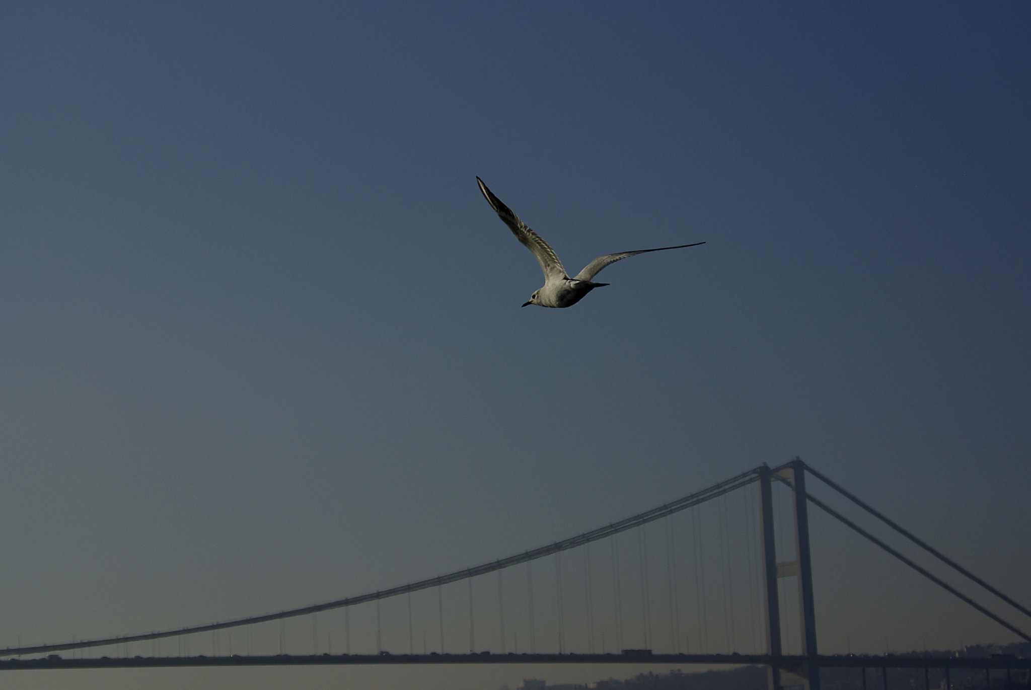 Pentax smc DA 50-200mm F4-5.6 ED sample photo. + photography