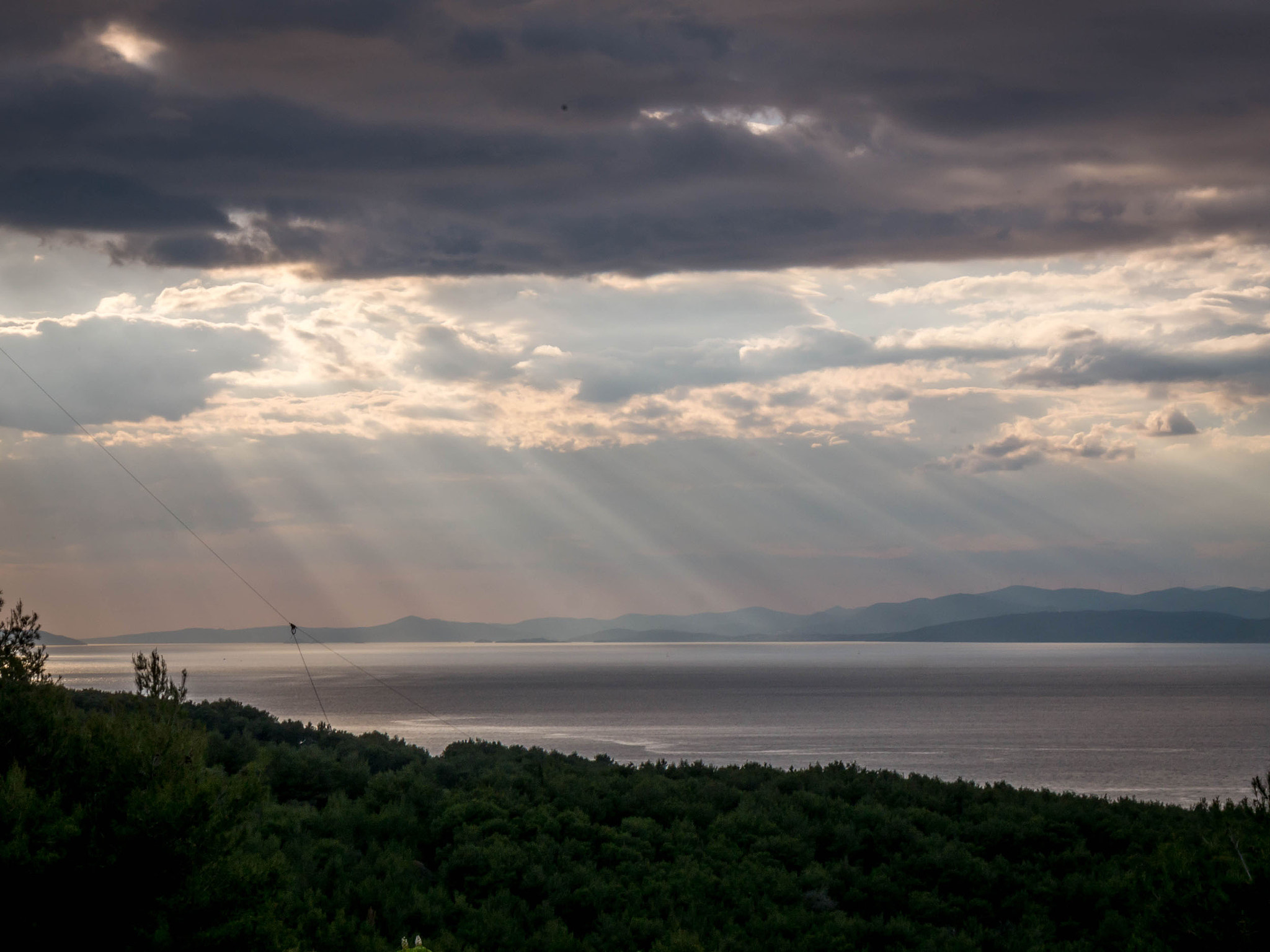 Panasonic Lumix DMC-GH3 sample photo. Beams in brach photography