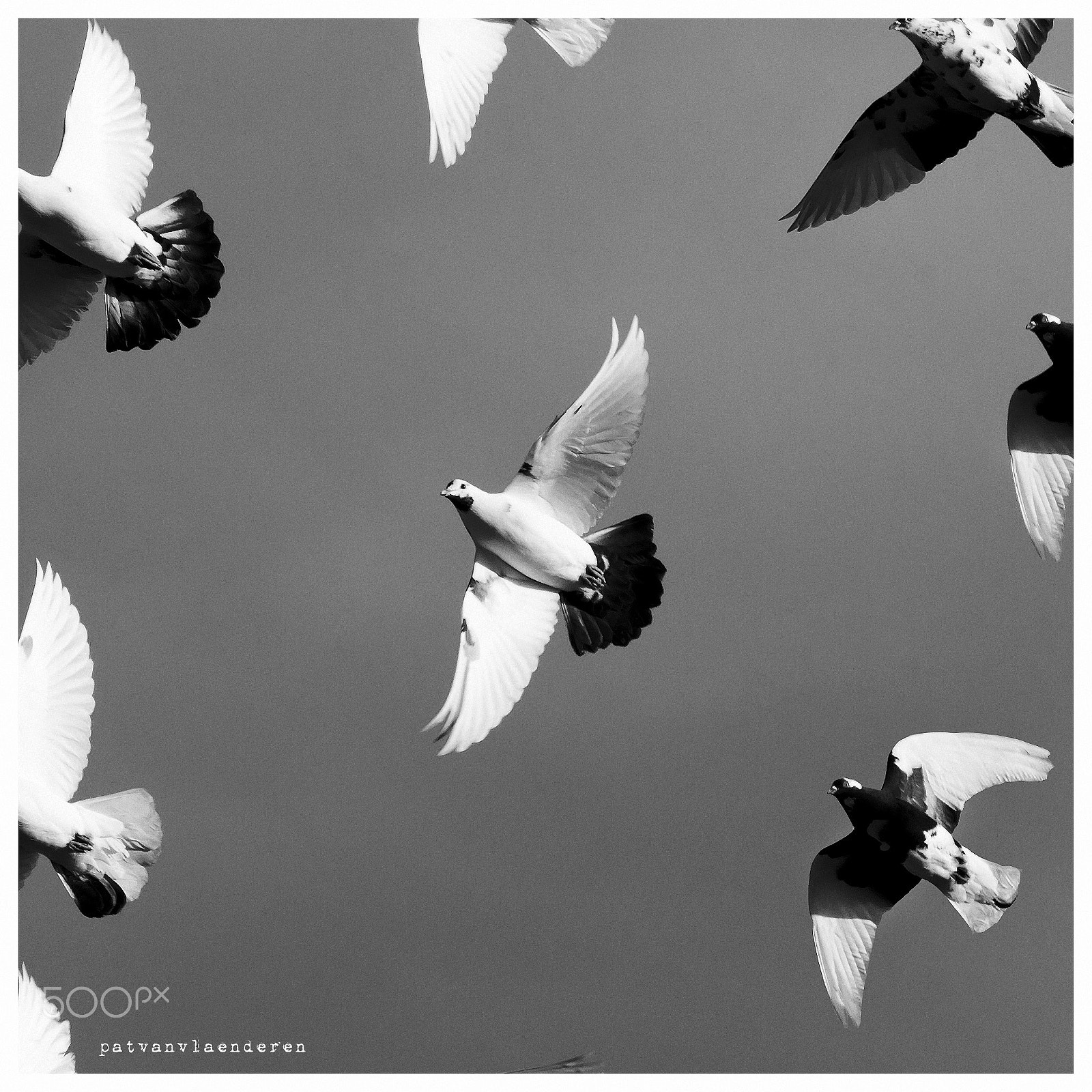 Canon EF 70-200mm F4L USM sample photo. Formation photography