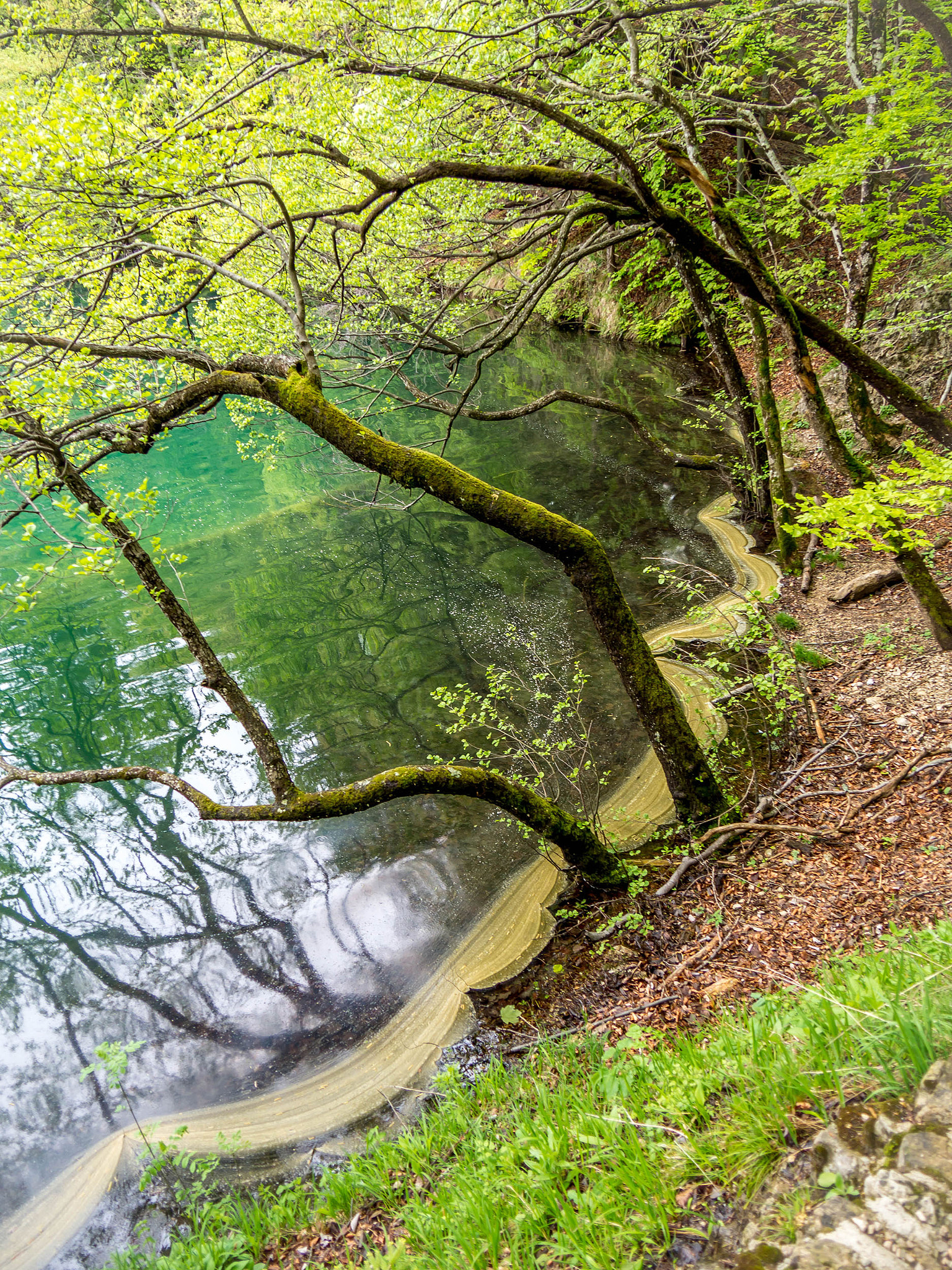 Panasonic Lumix DMC-GH3 sample photo. Shoreline designs plitvice photography