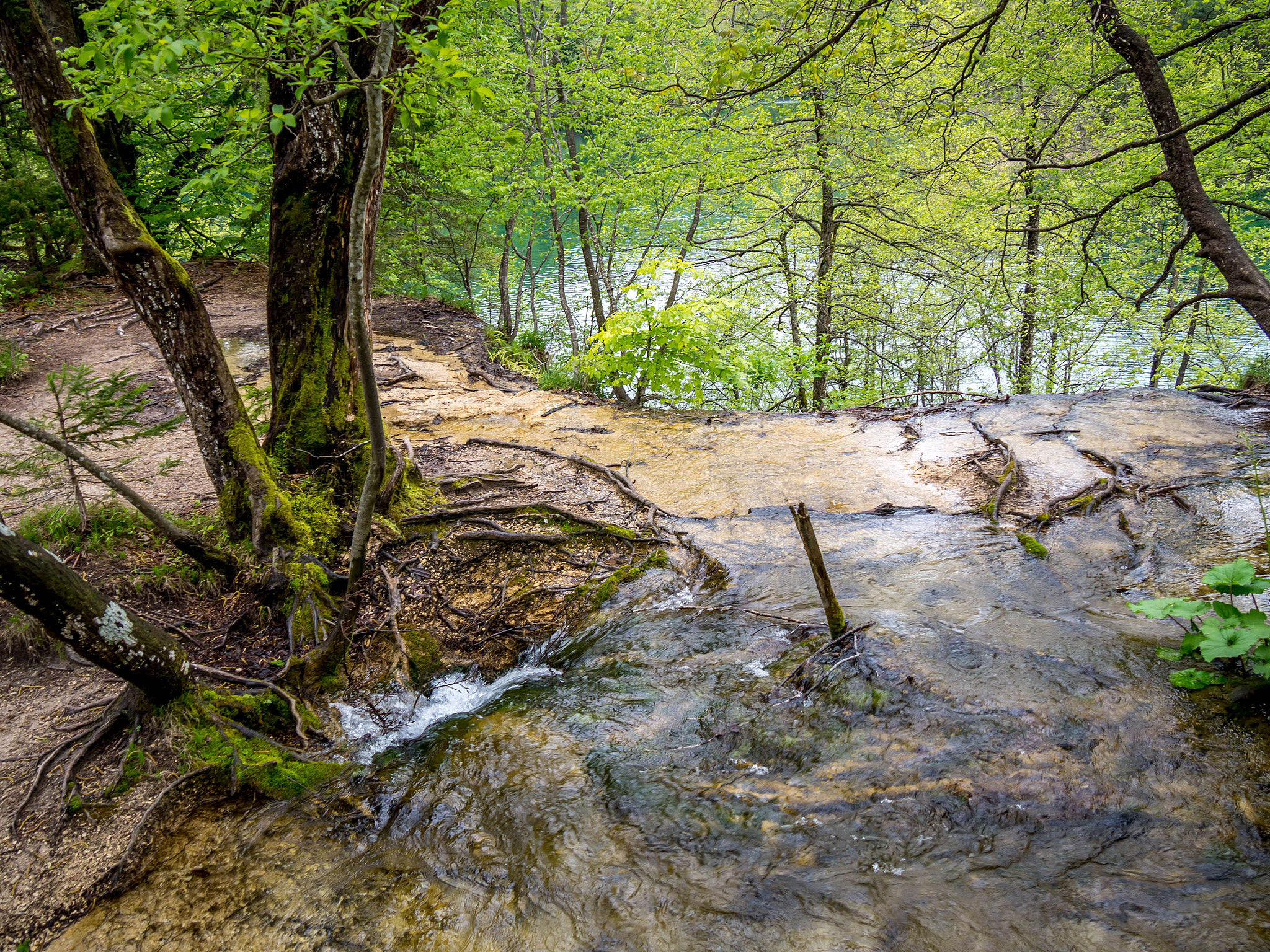 Panasonic Lumix DMC-GH3 sample photo. Sinkhole plitvice photography