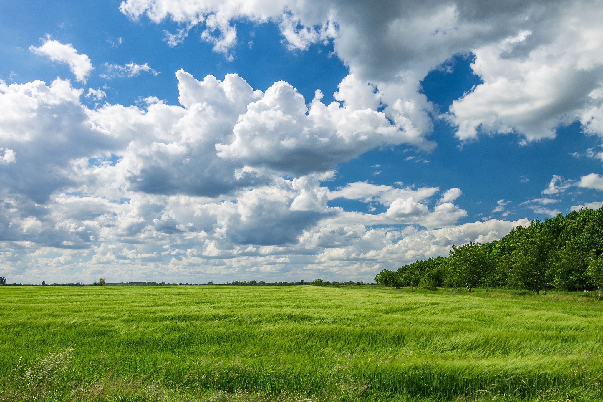Canon EF-S 18-135mm F3.5-5.6 IS STM sample photo. Fields of green photography