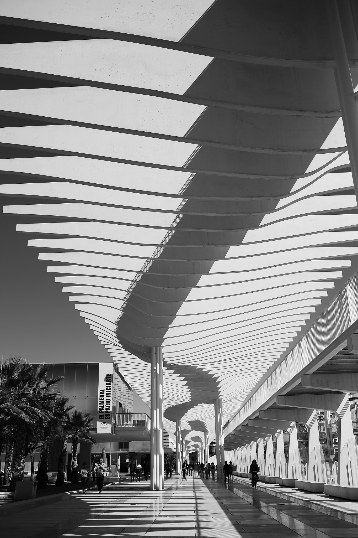 Canon EF 35mm F2 IS USM sample photo. Promenade photography