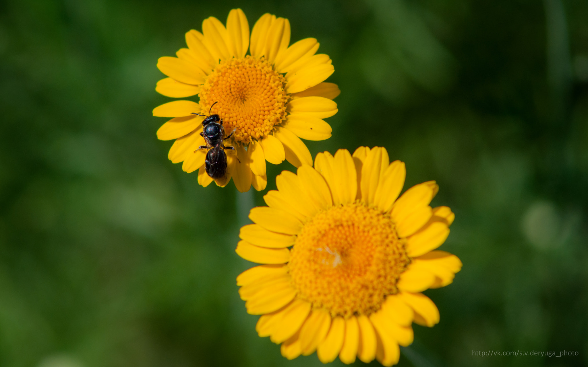 Nikon D90 + AF Zoom-Nikkor 70-210mm f/4 sample photo. 8 photography