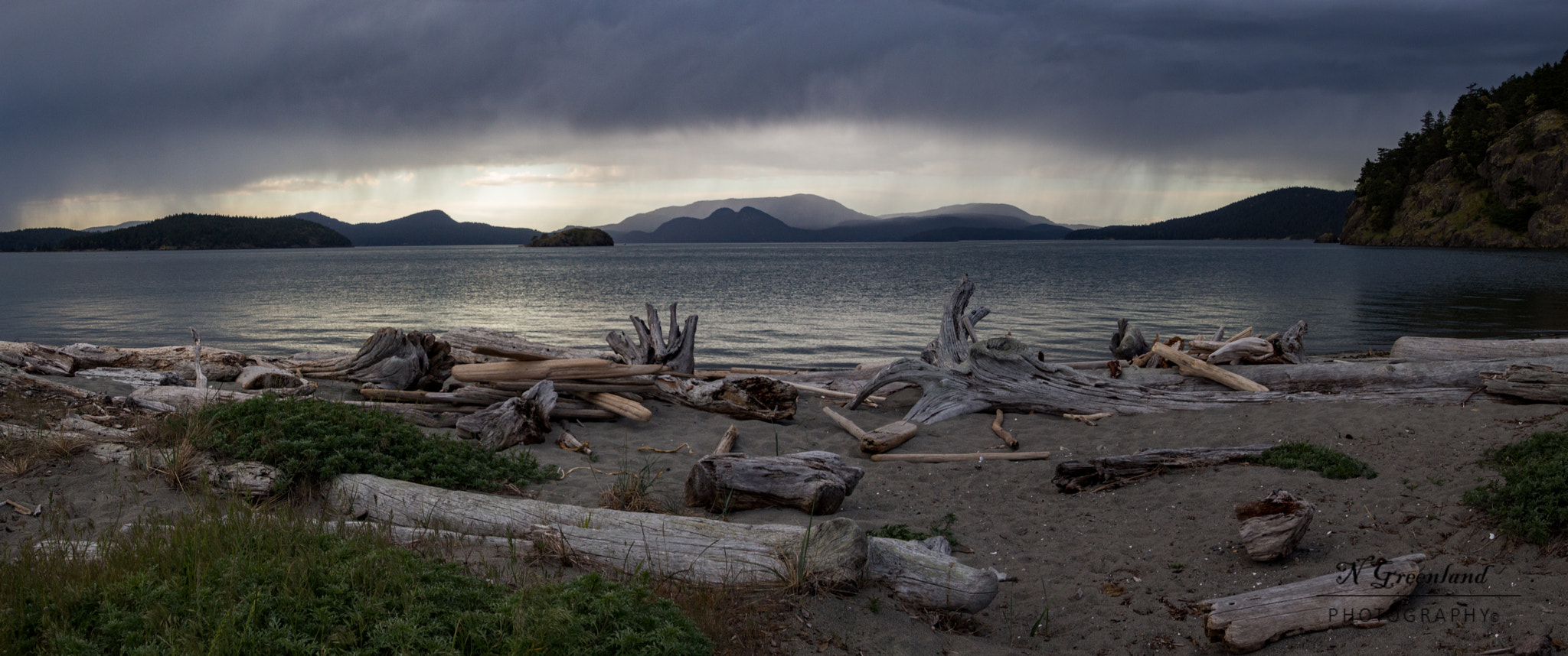 Canon EOS 100D (EOS Rebel SL1 / EOS Kiss X7) sample photo. Driftwood photography